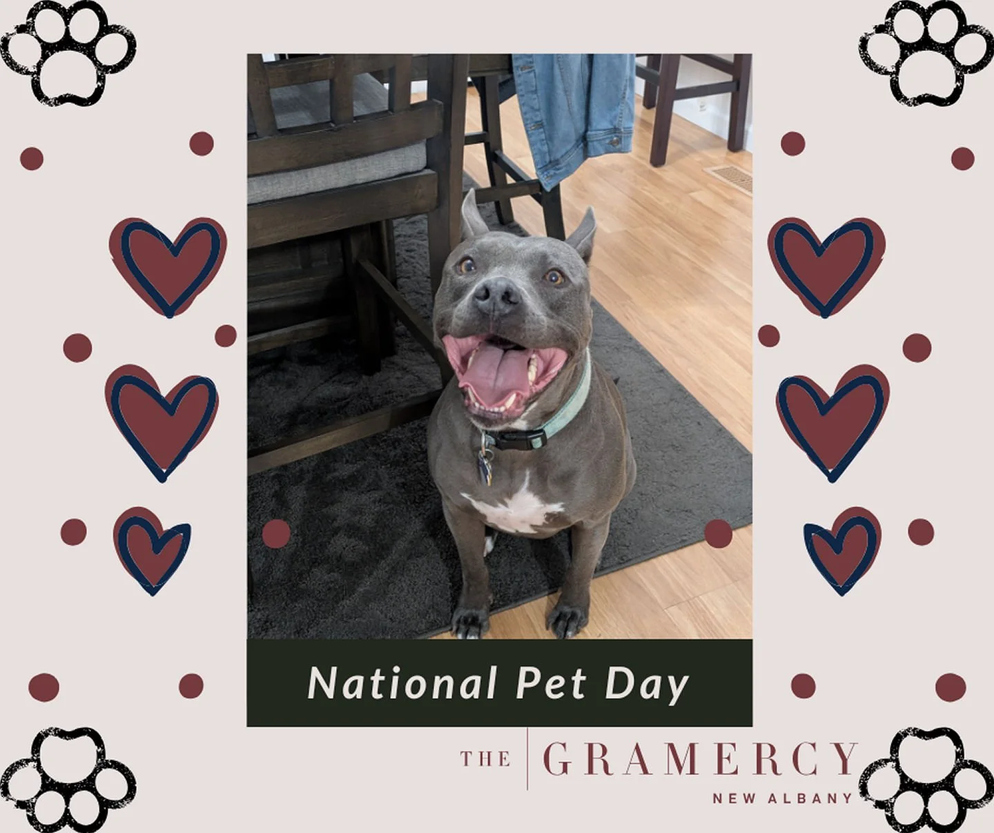 &ldquo;Happy National Pet Day from The Gramercy! 🐶✨ 
Sending extra love to our very own Gramercy VIP, Vinny&mdash;Grace&rsquo;s furry sidekick and the goodest boy around. 
We&rsquo;re paws-itively lucky to have pets that make our community feel even