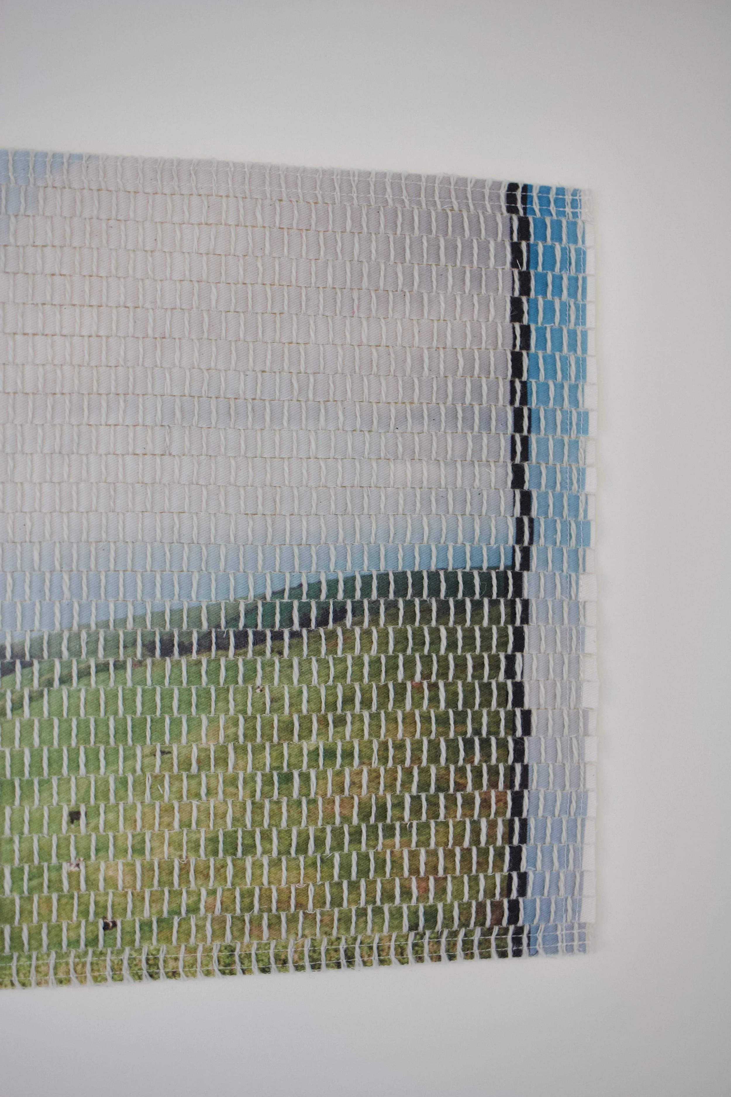 island pasture-18.jpg