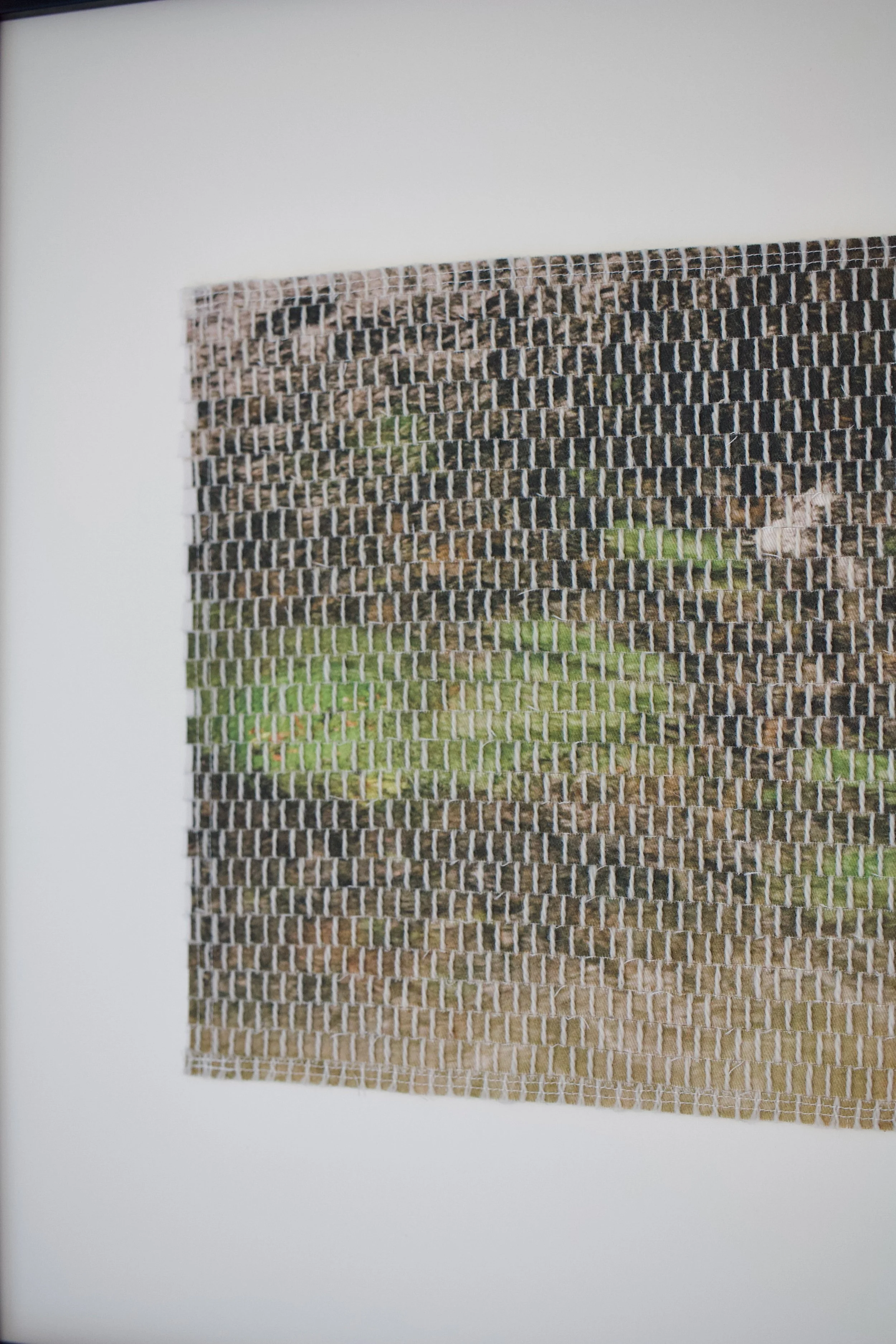 island stream-03.jpg