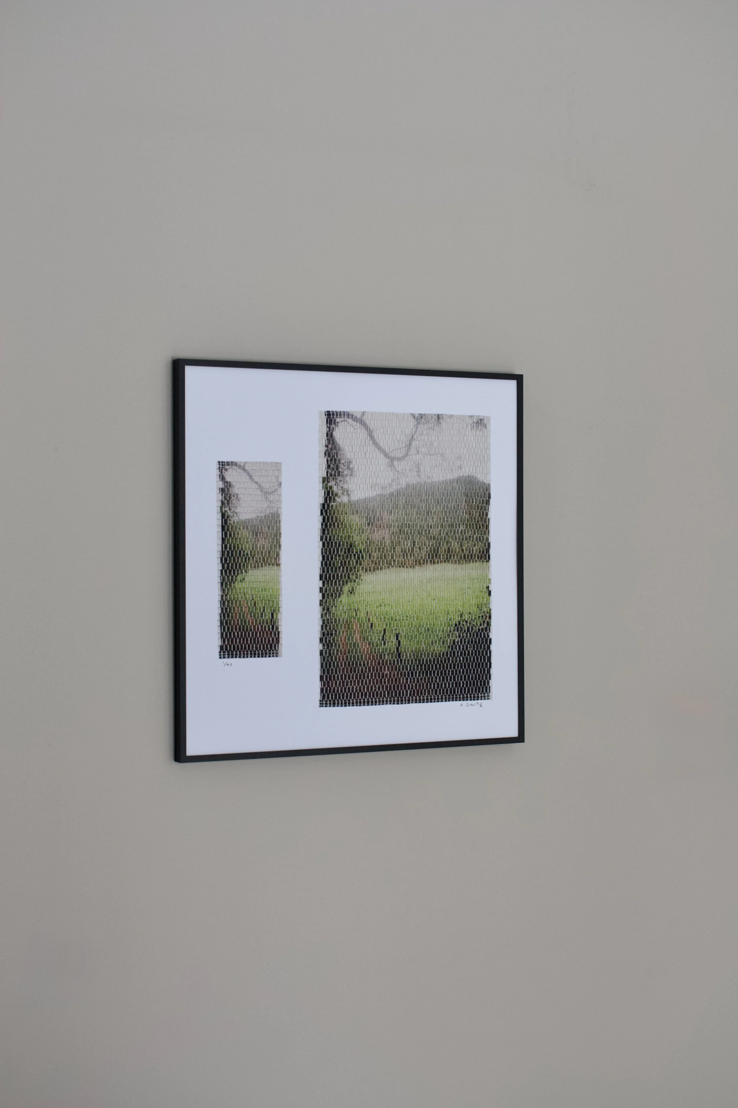 xi prints forest path-12.jpg