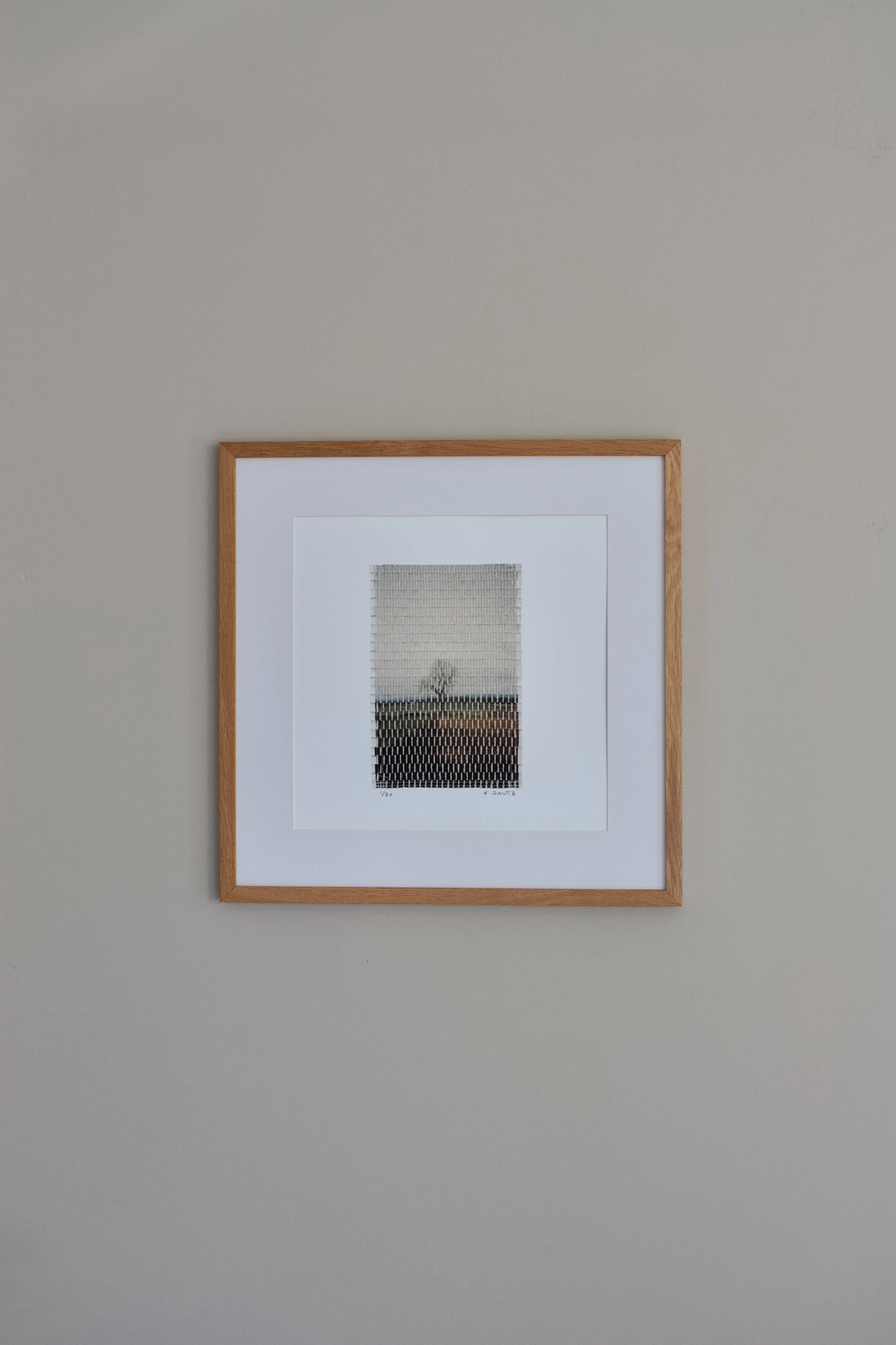 field at dusk-11.jpg