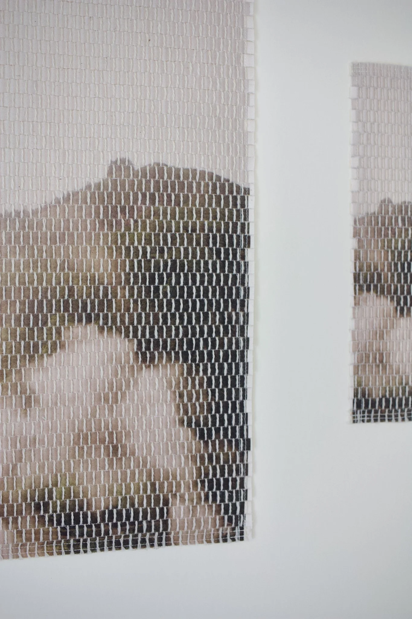 mountain steam-12.jpg