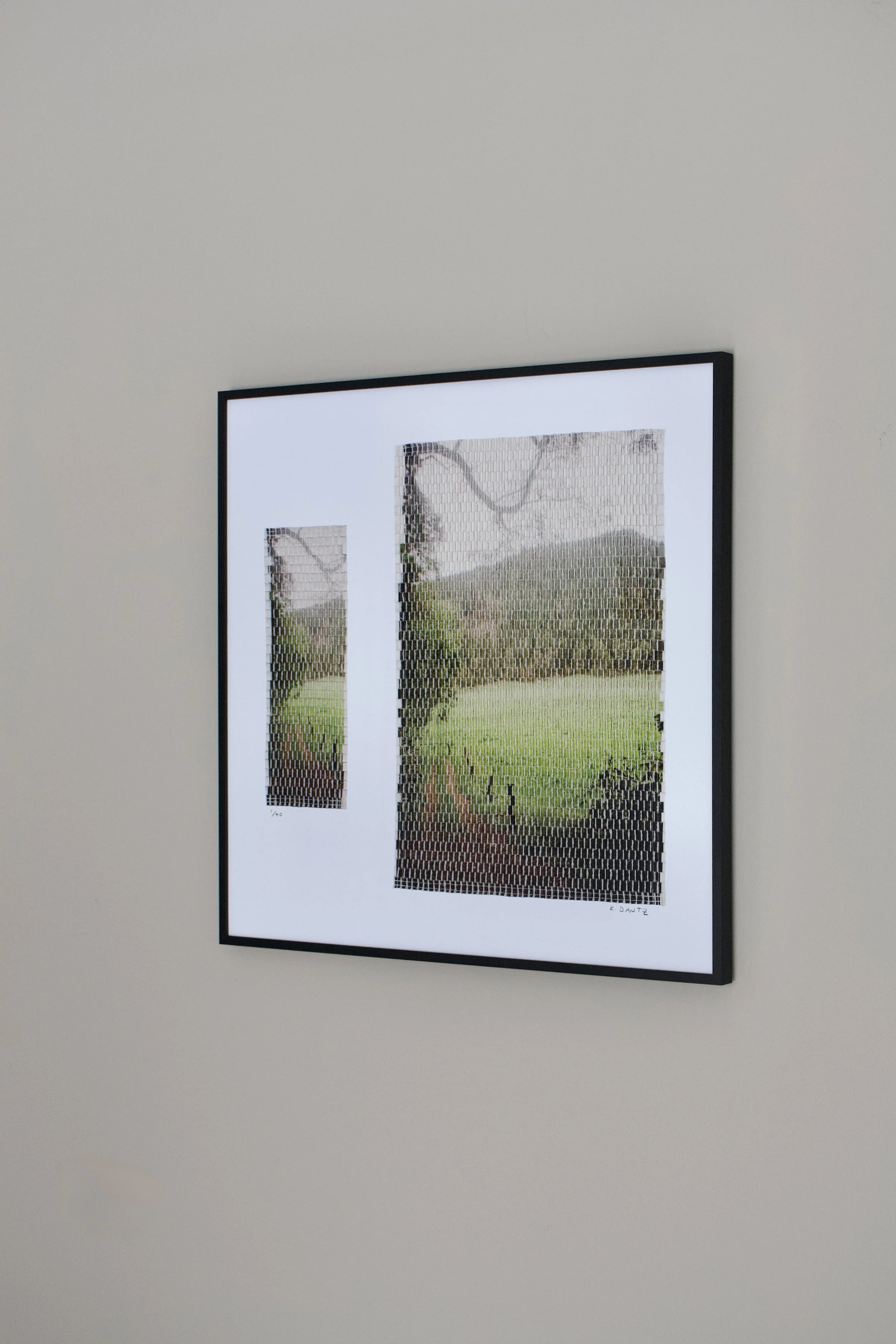 xi prints forest path-09.jpg