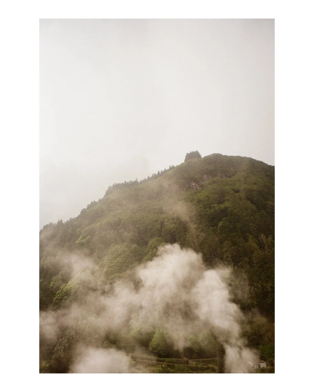 Untitled (4 x 5 in) - 22.jpg