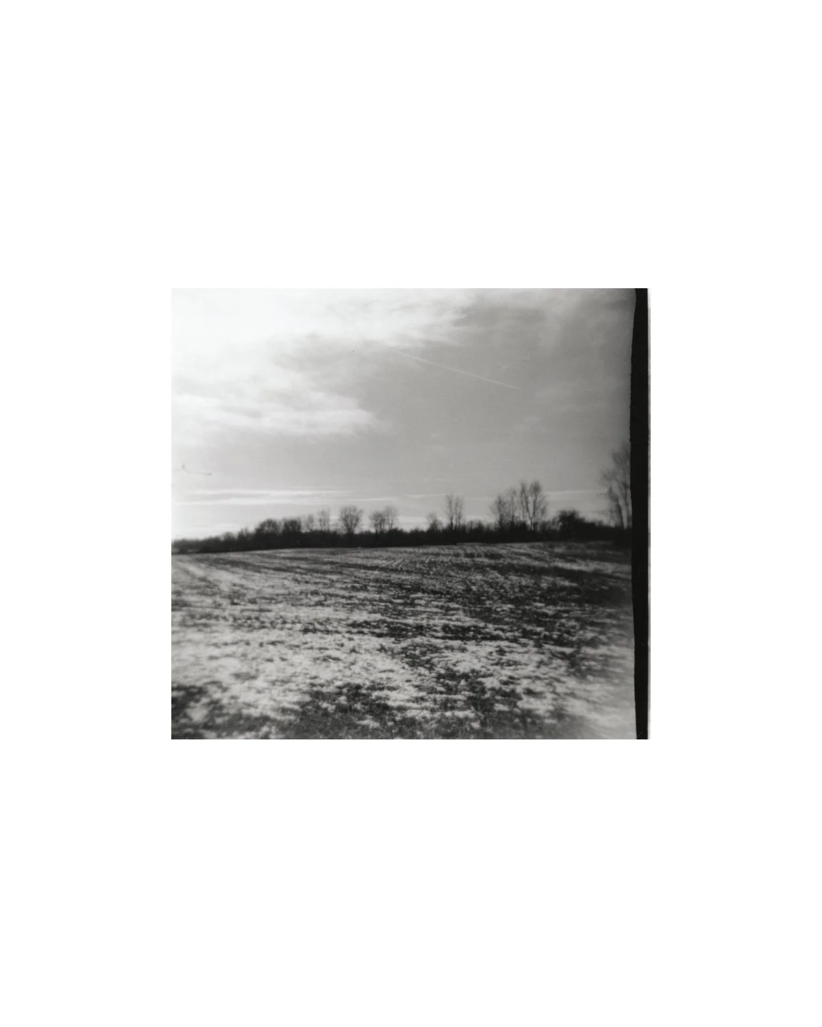 Untitled (4 x 5 in) 3.jpg