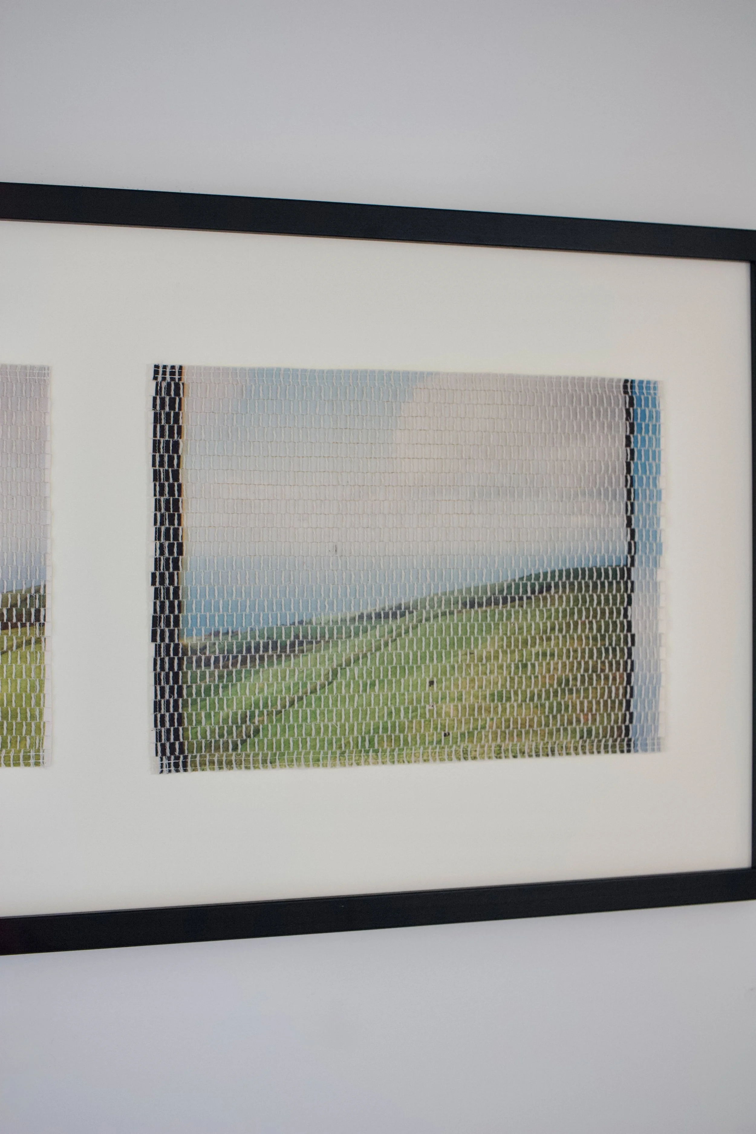 island pasture-23.jpg