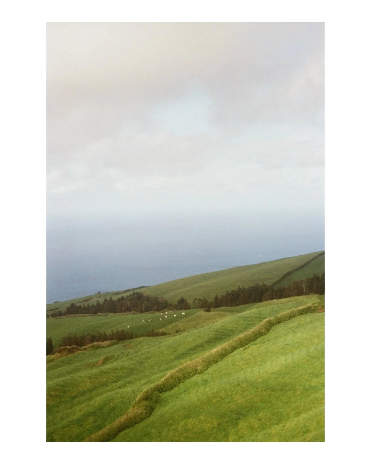 Untitled (4 x 5 in) - 15.jpg