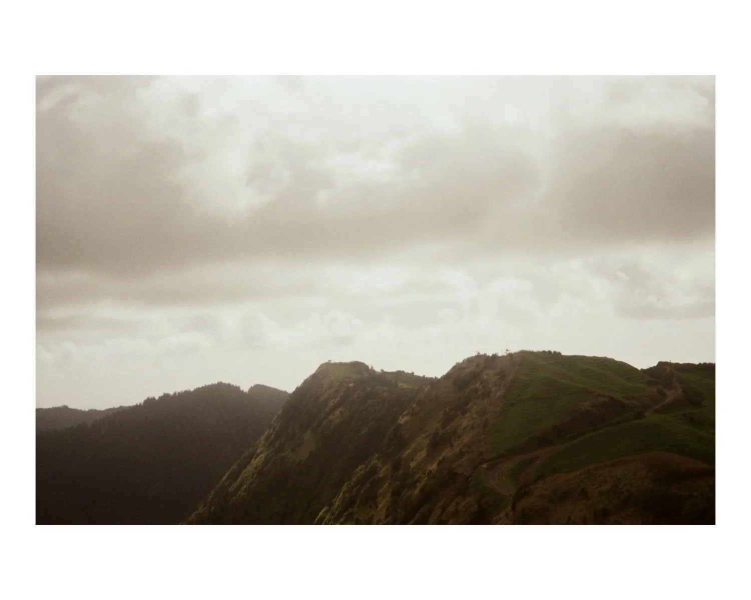 Untitled (4 x 5 in) - 13.jpg