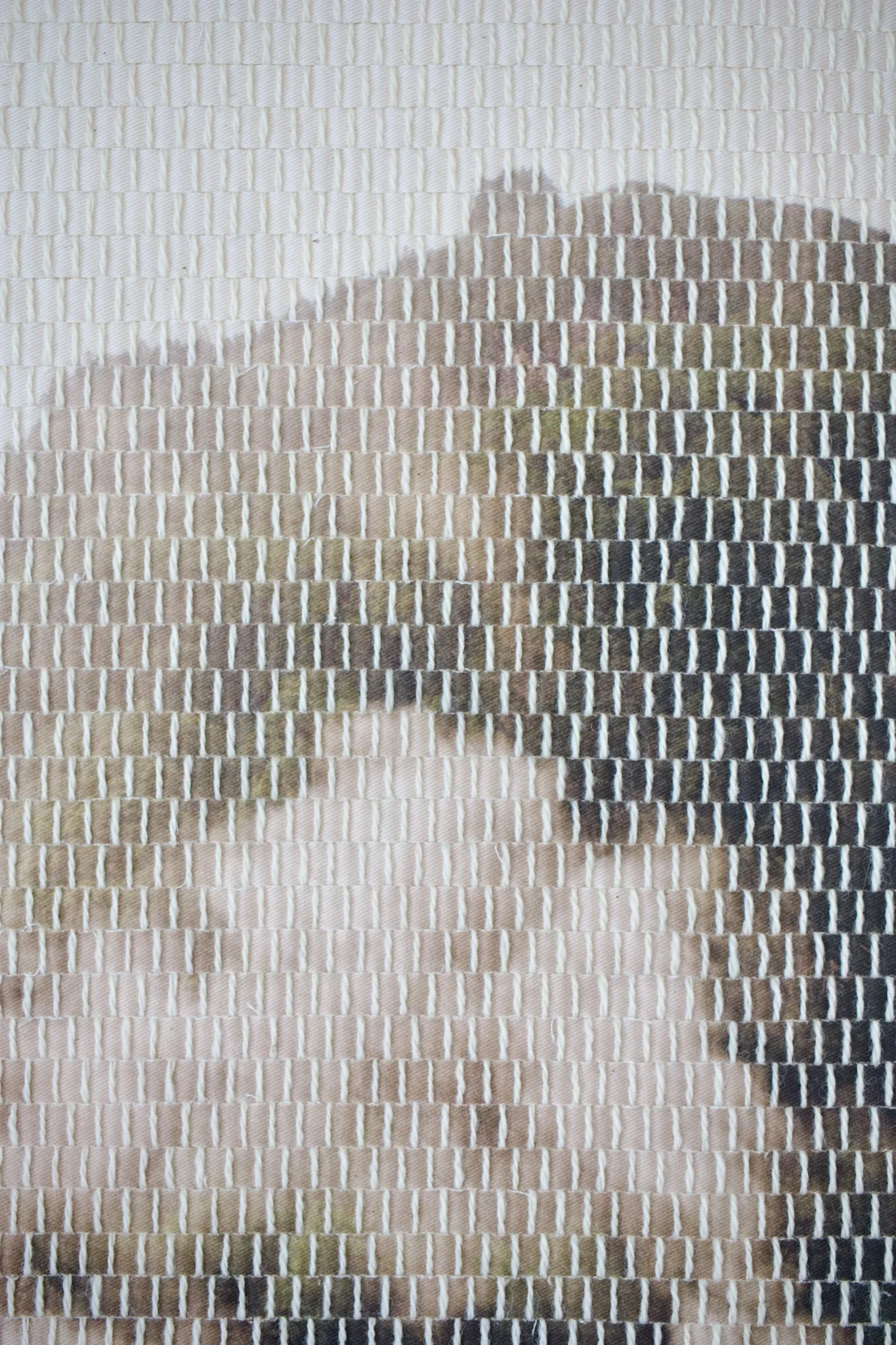 mountain steam-09.jpg