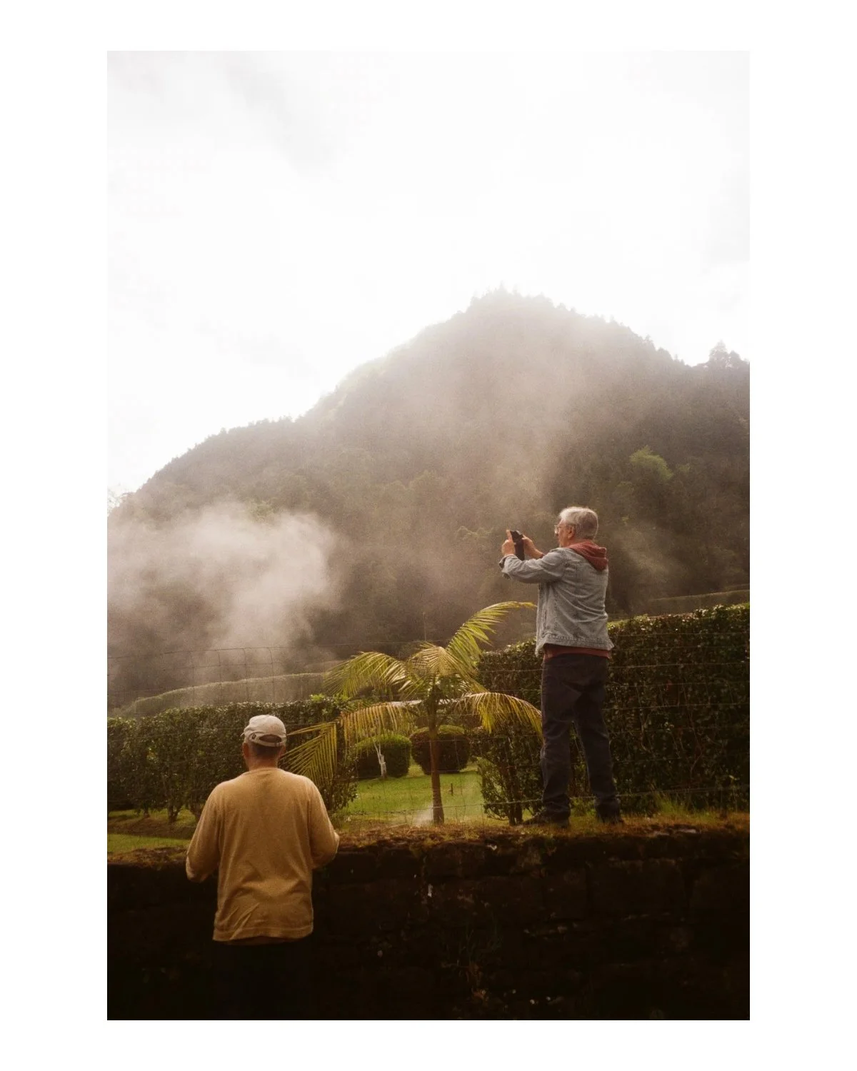 Untitled (4 x 5 in) - 25.jpg