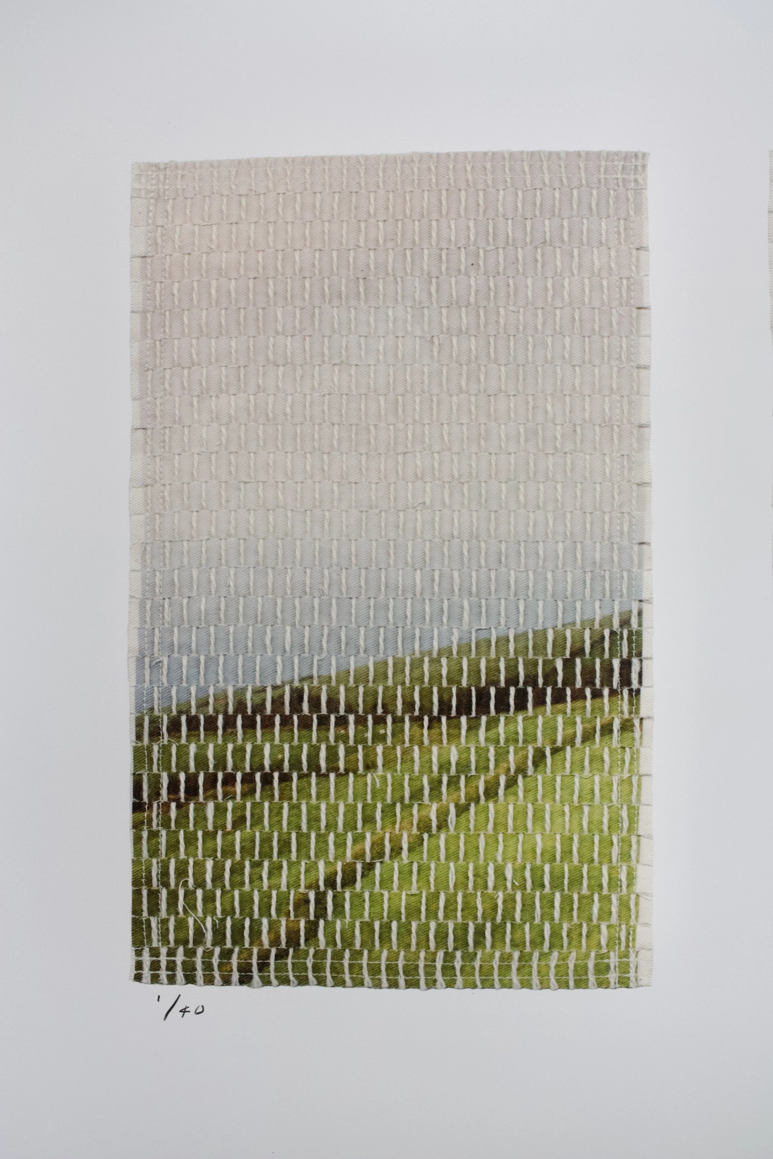 xi prints island pasture-17.jpg