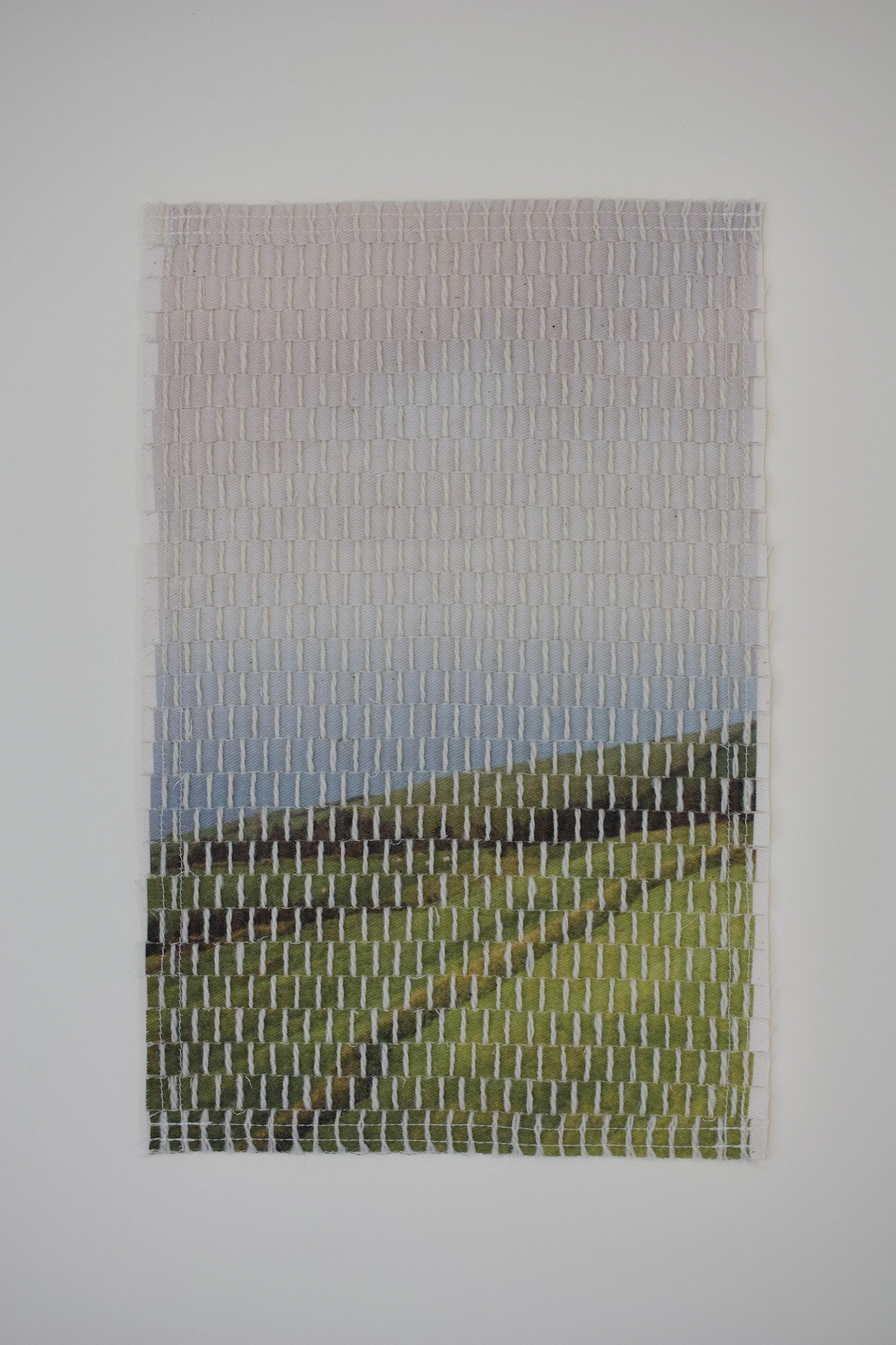 island pasture-21.jpg