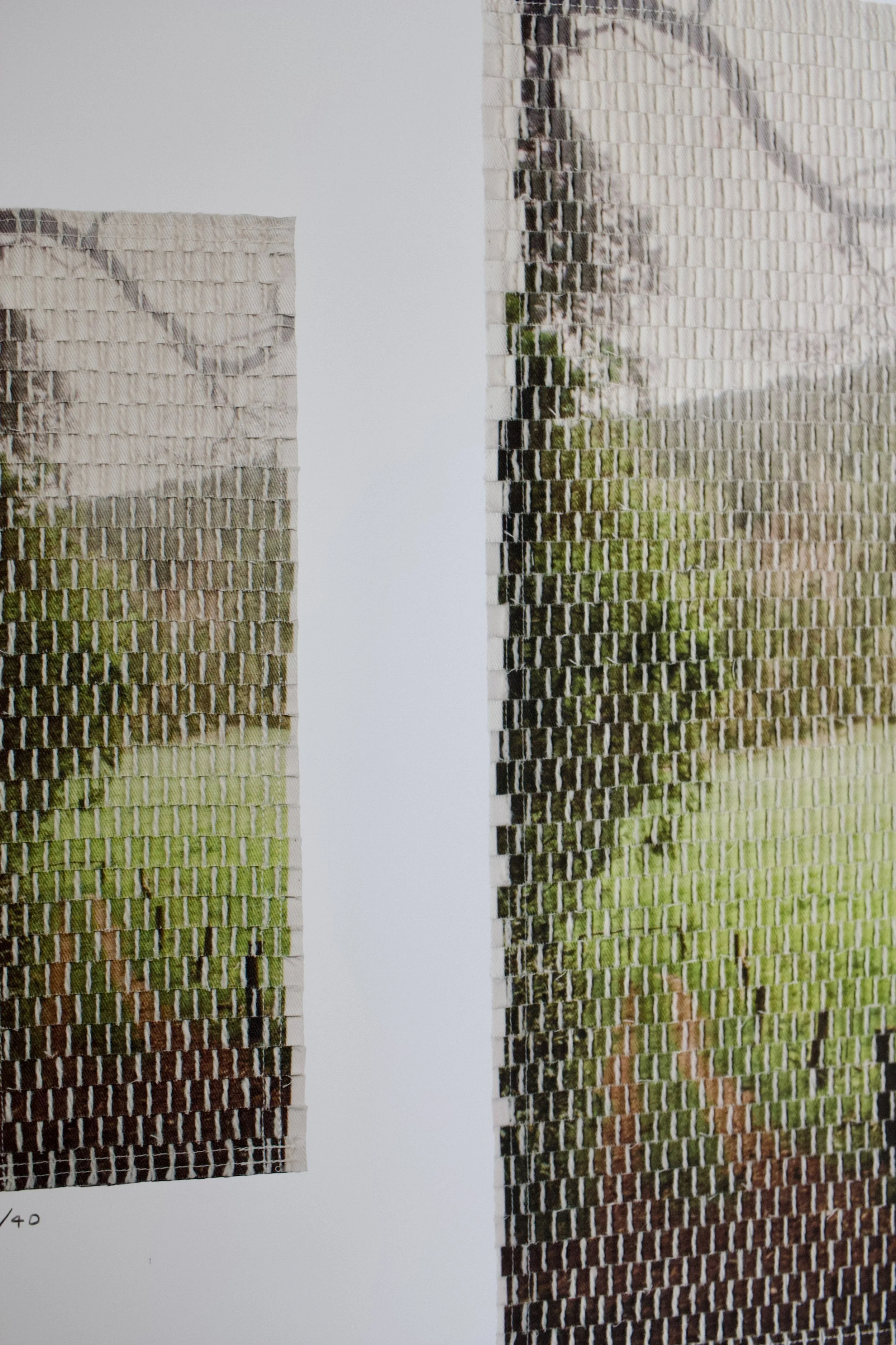 xi prints forest path-01.jpg