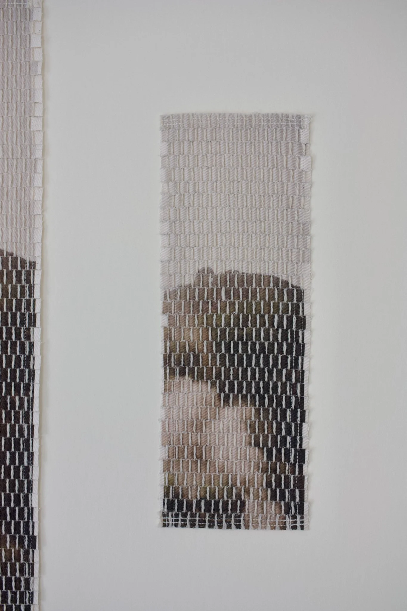 mountain steam-14.jpg