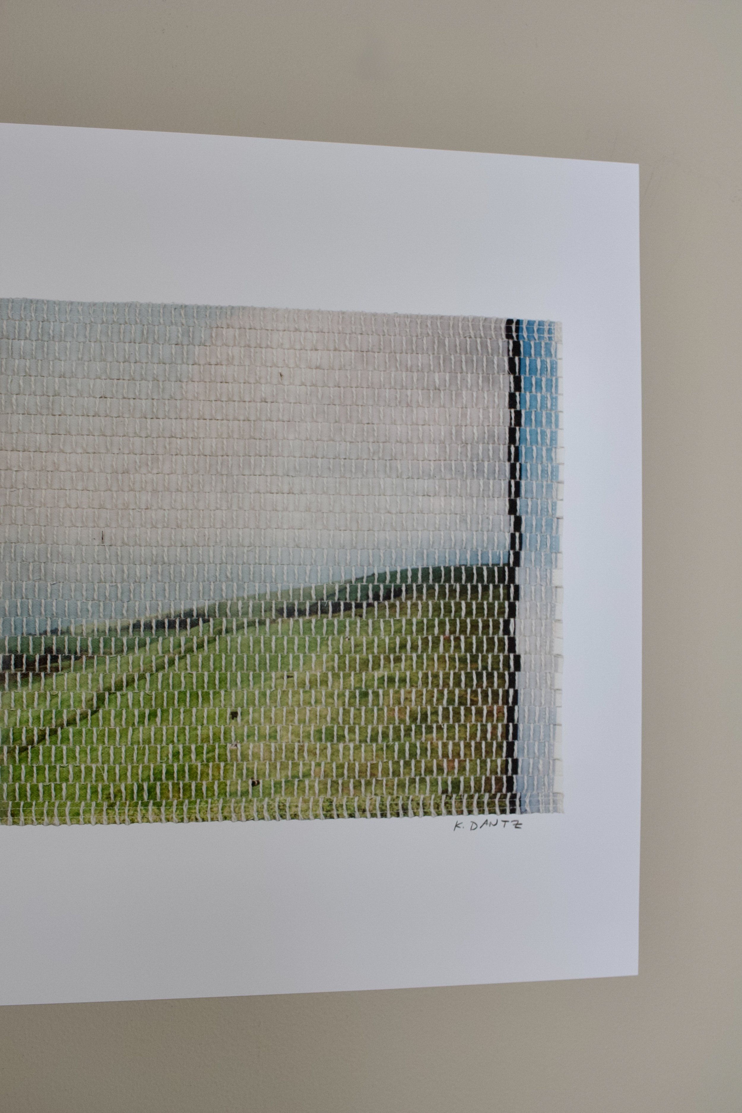 xi prints island pasture-16.jpg