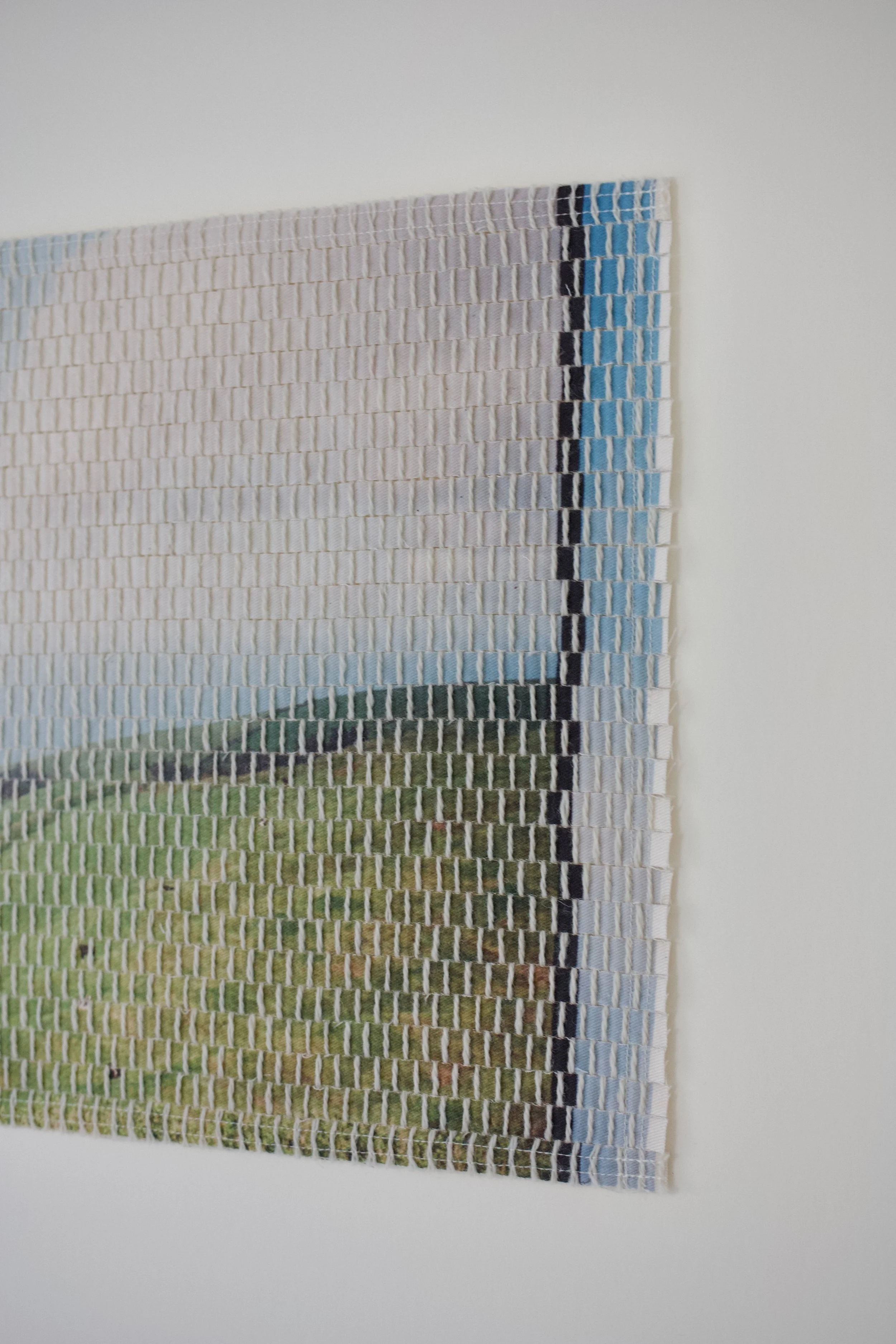 island pasture-13.jpg