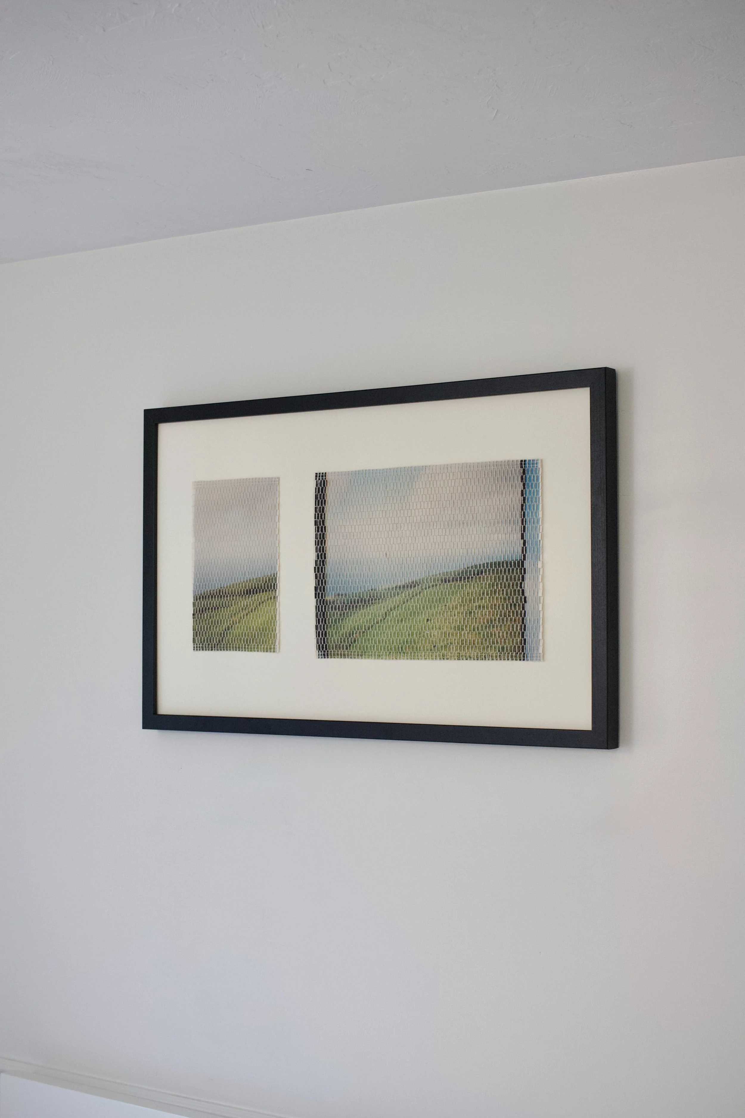 island pasture-33.jpg