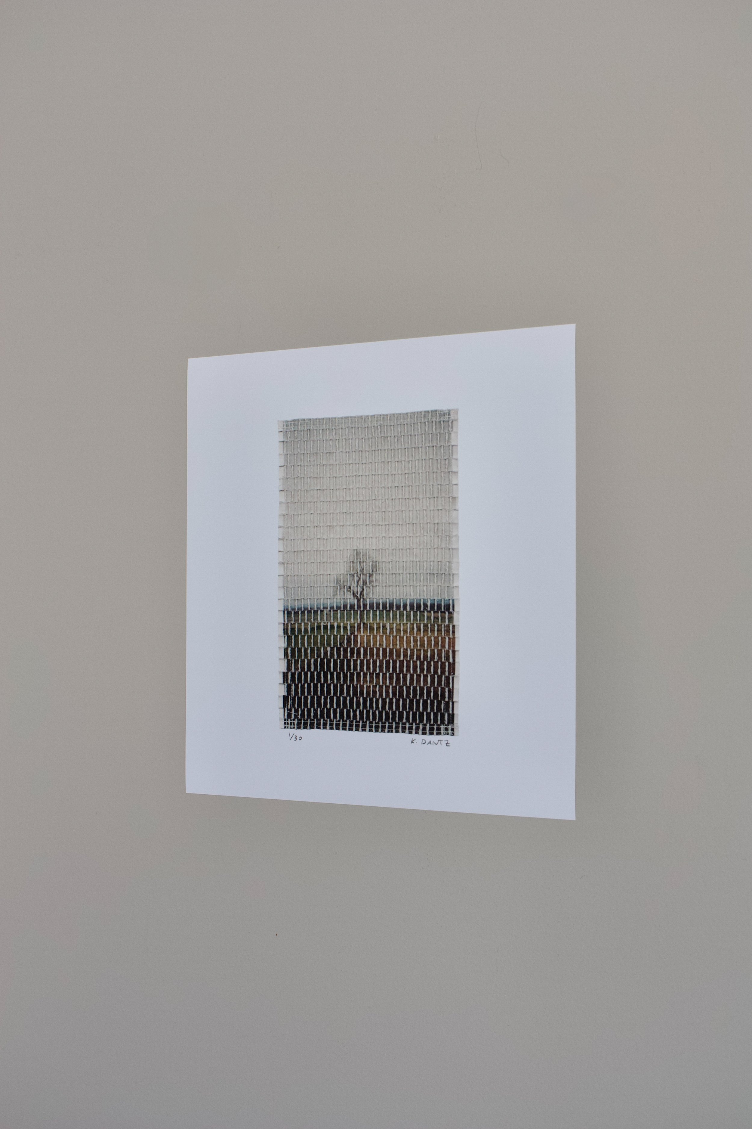 field at dusk-21.jpg