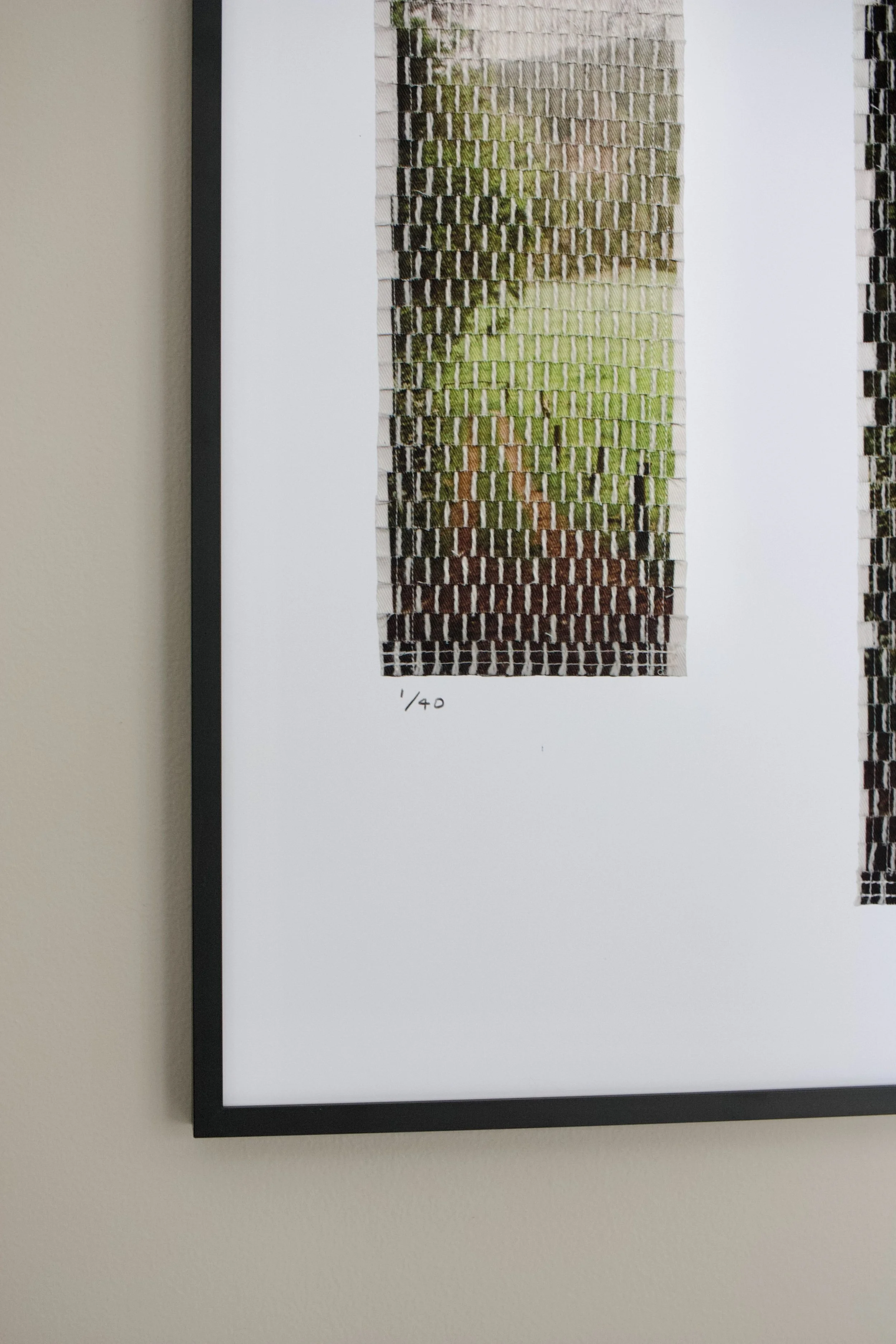 xi prints forest path-04.jpg