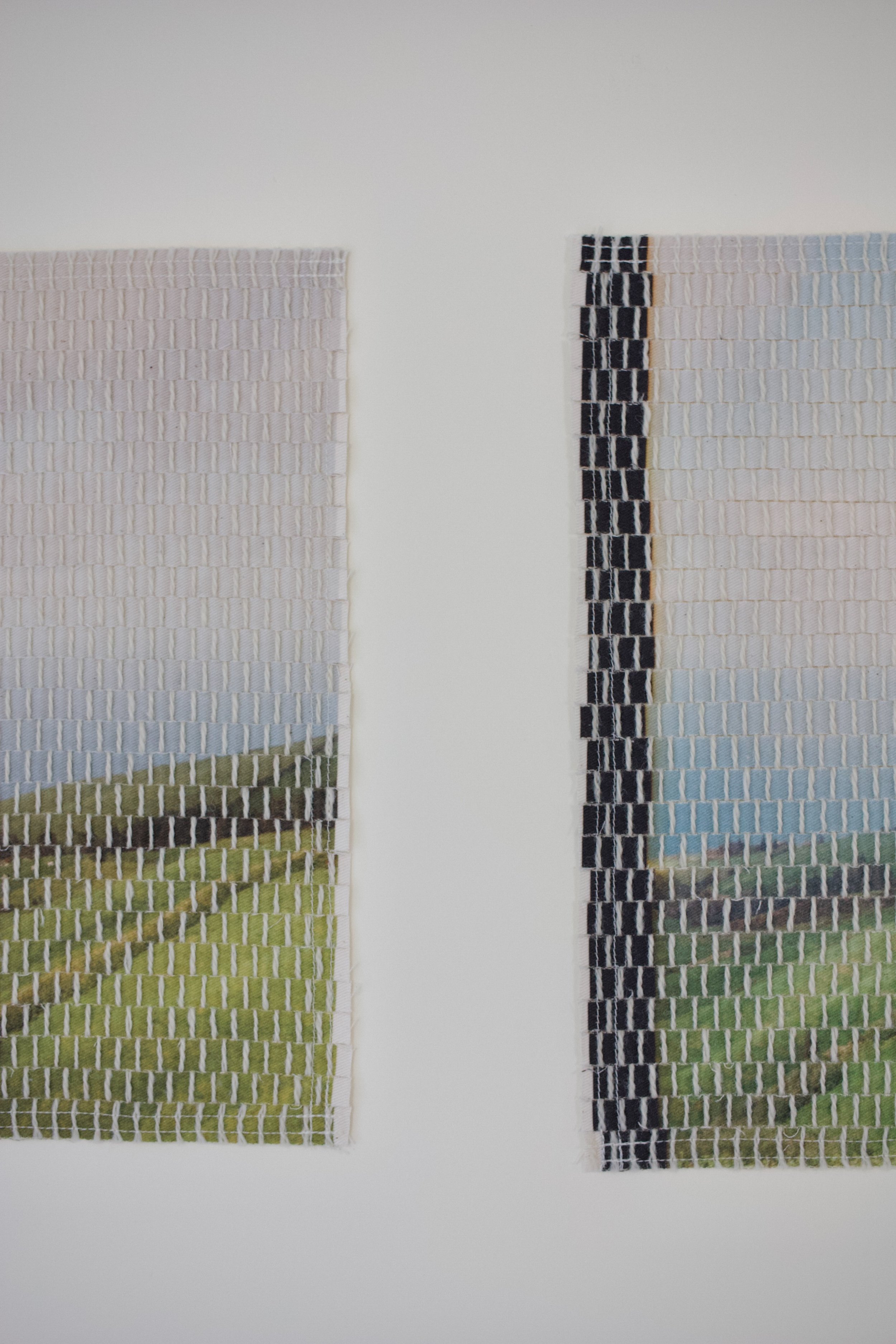 island pasture-14.jpg