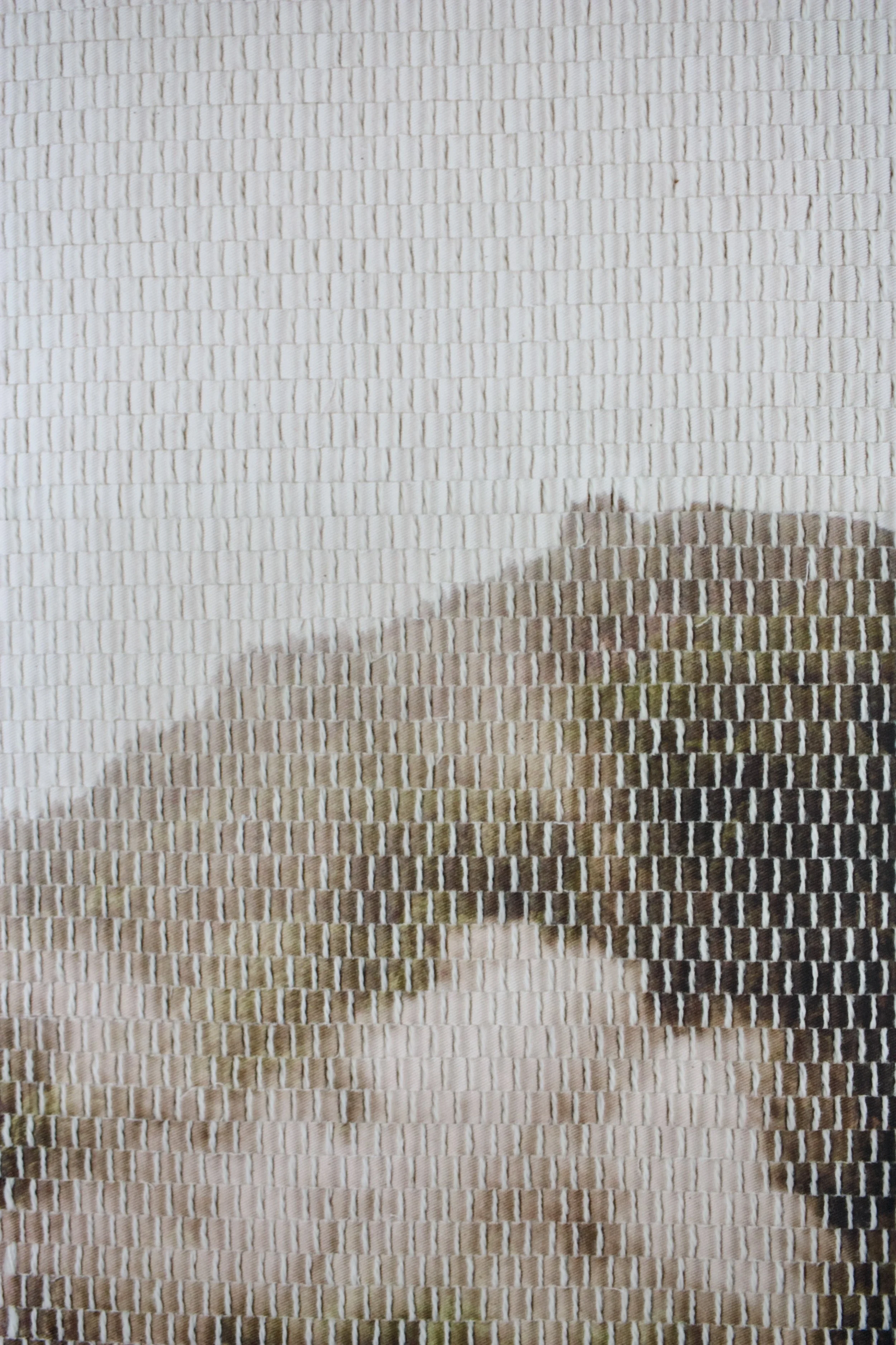 xi prints mountain steam-10.jpg