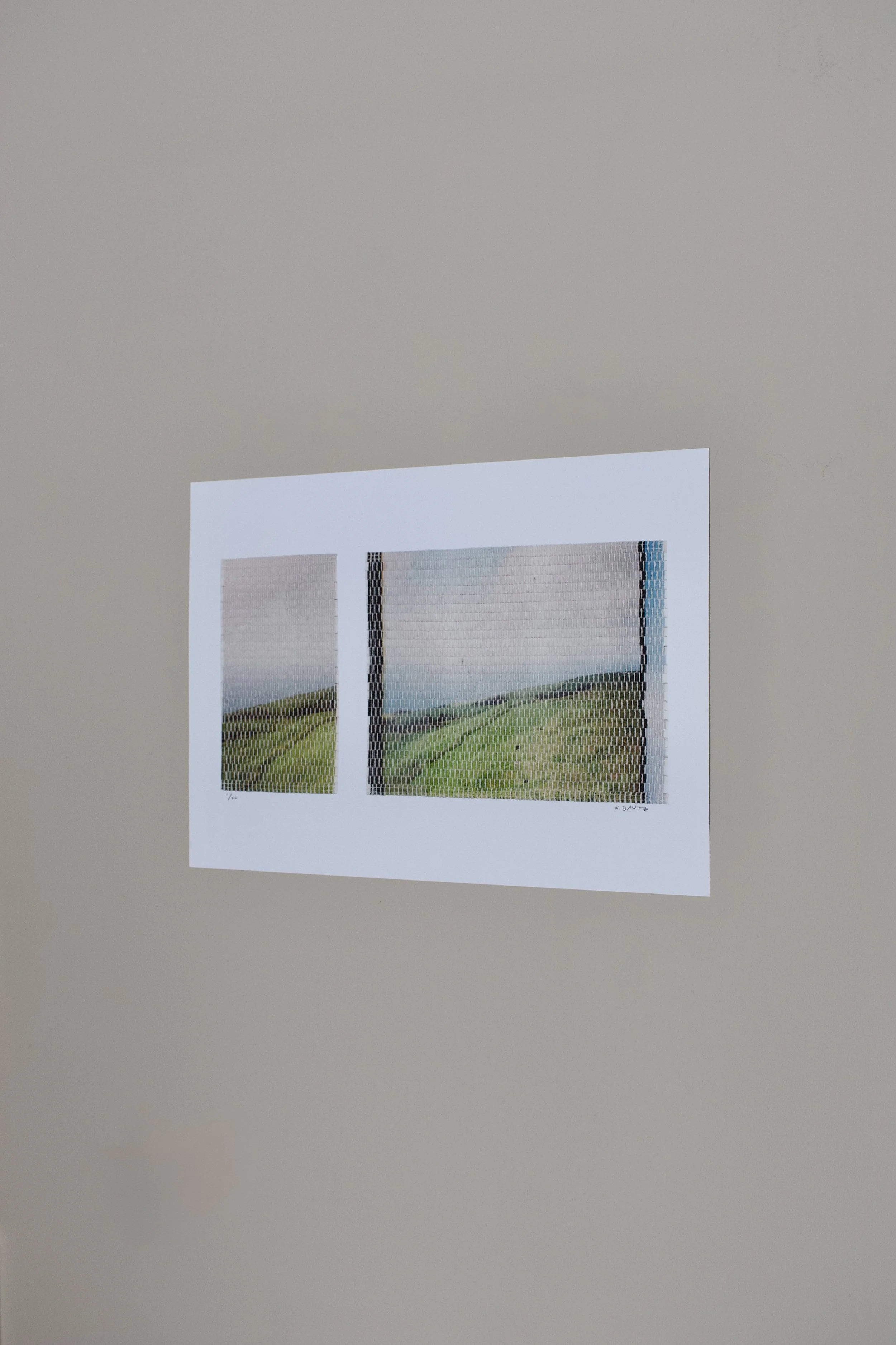 xi prints island pasture-21.jpg