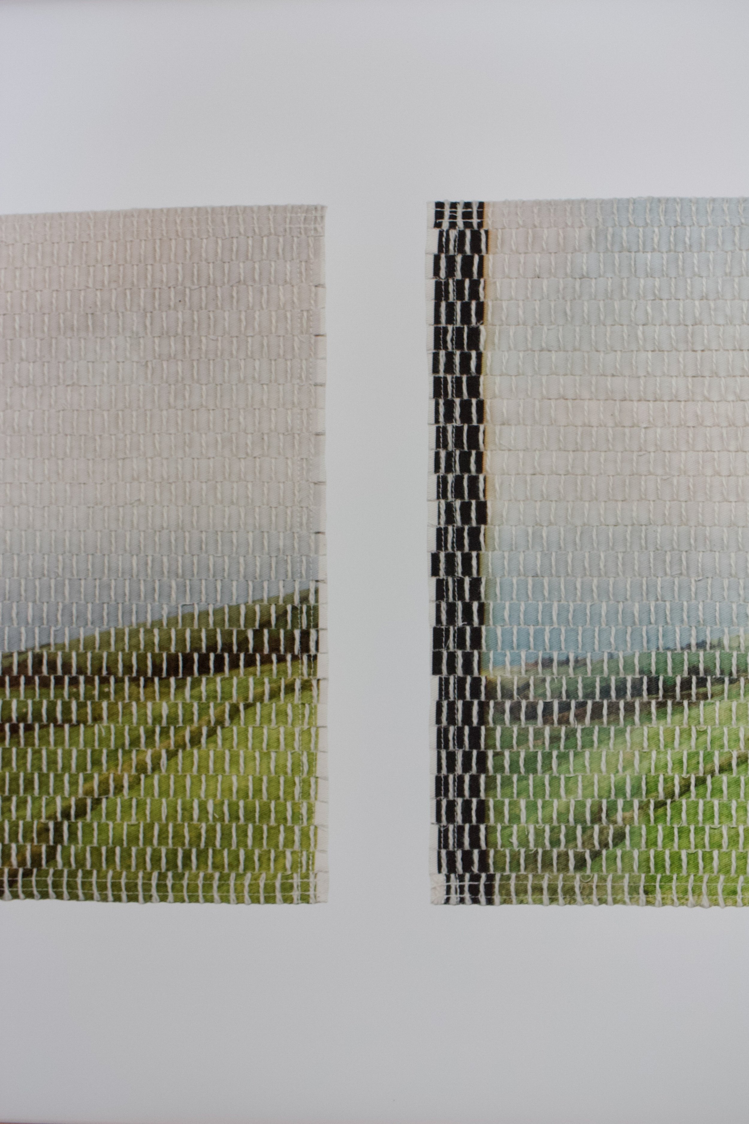 xi prints island pasture-03.jpg