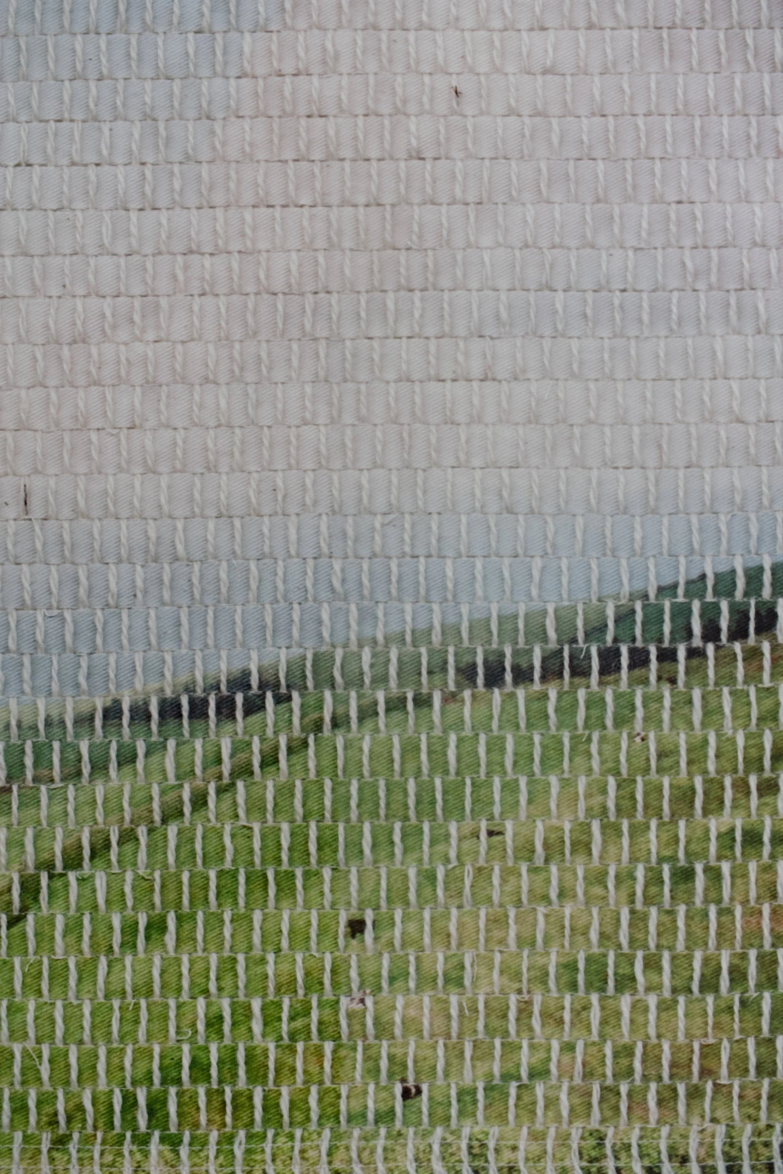 xi prints island pasture-01.jpg