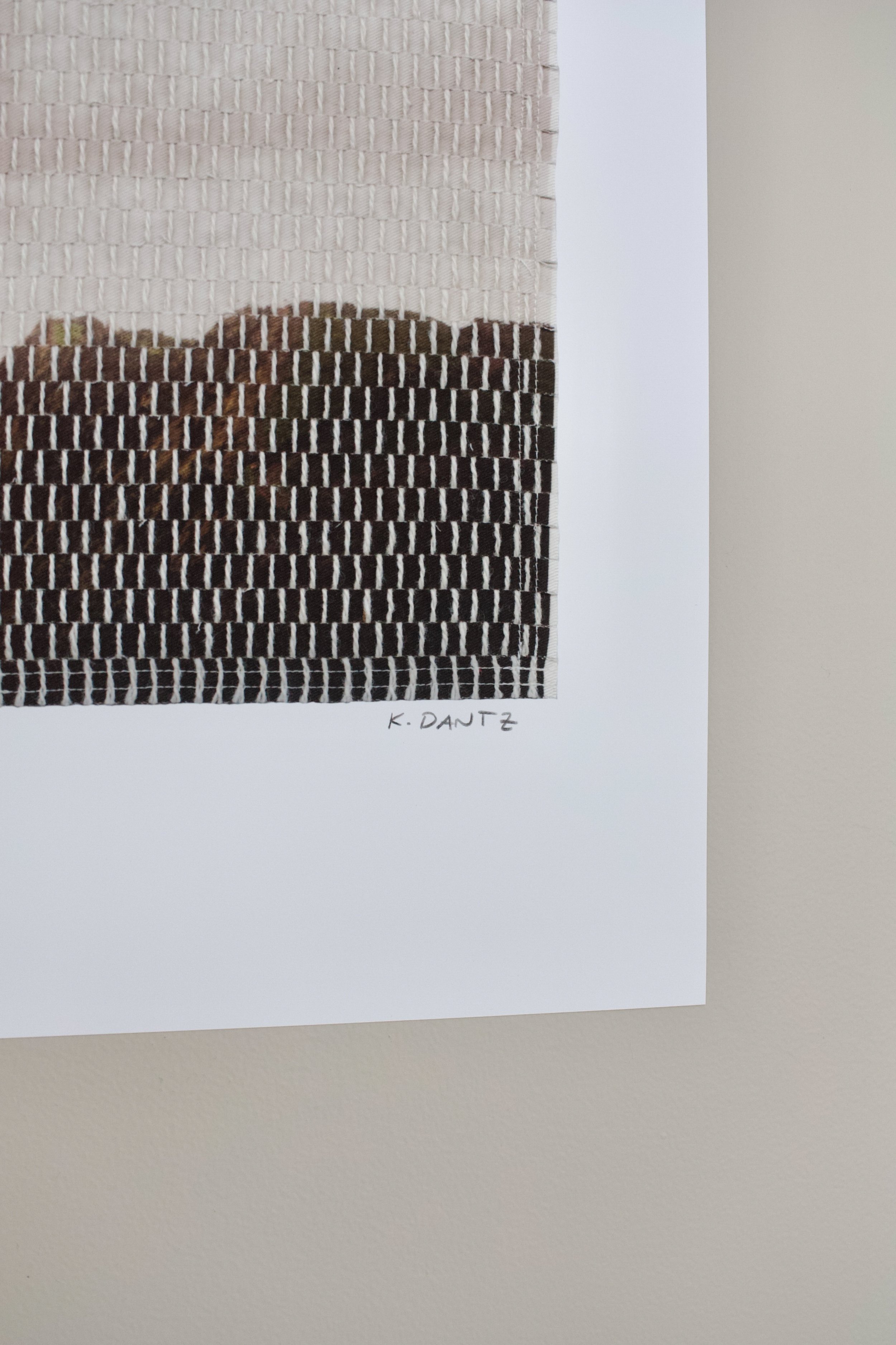 xi prints island ridge-13.jpg