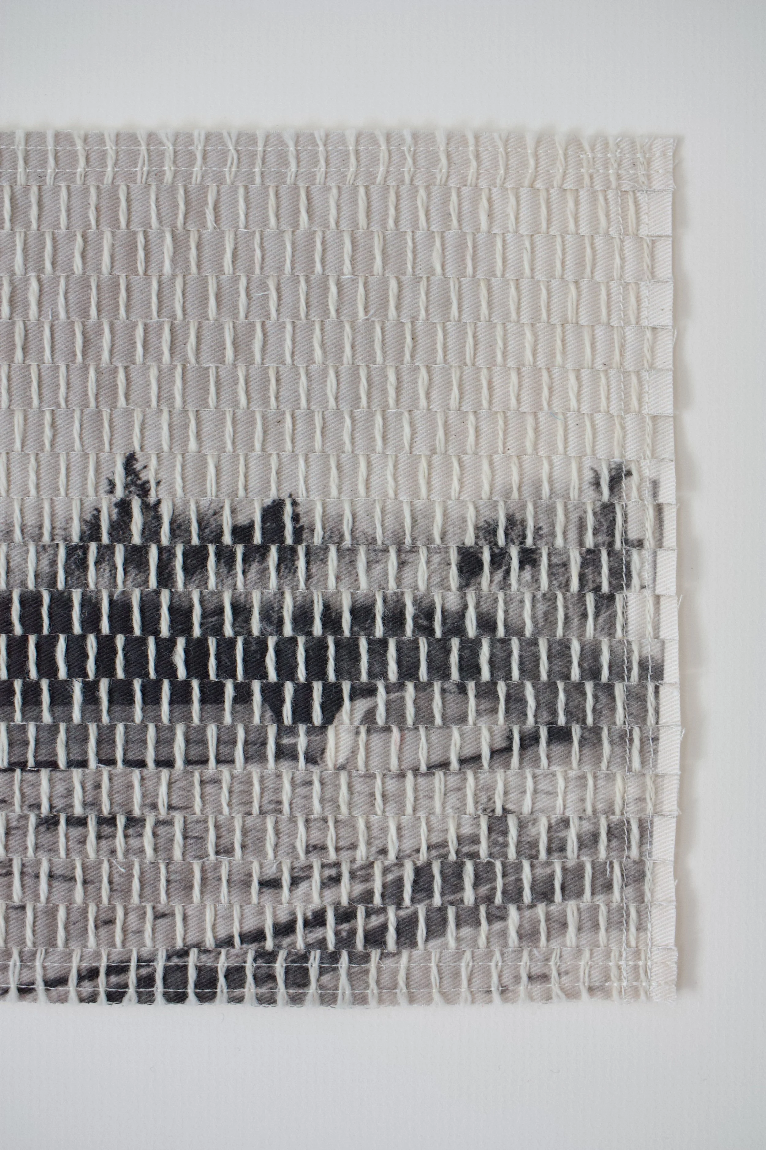 Boats on the Sand-16.jpg