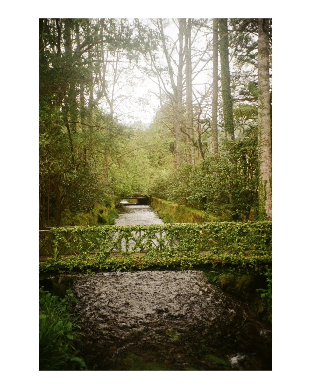 Untitled (4 x 5 in) - 18.jpg