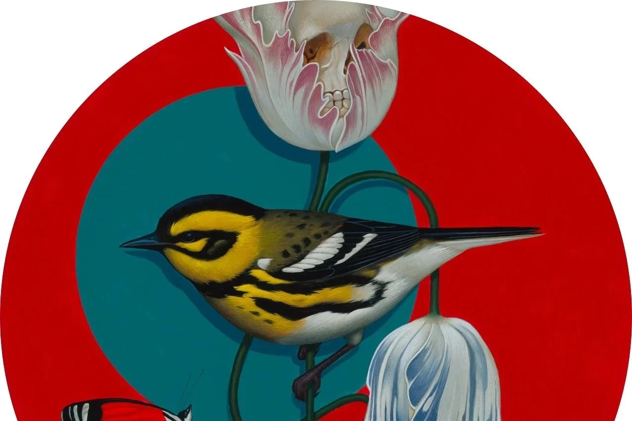 Bird+1+1280.jpg