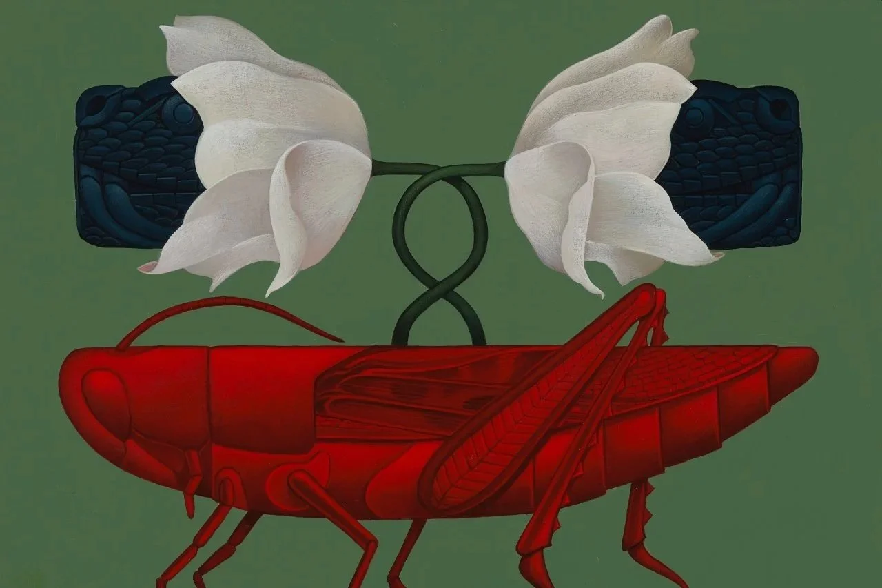 Chapulin+Rojo.jpg