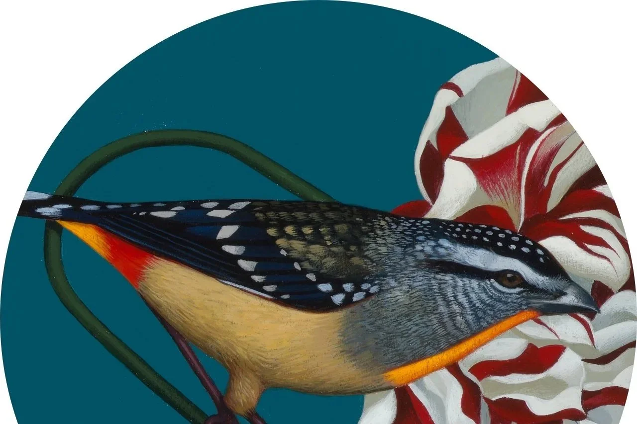 Bird+3+1280.jpg