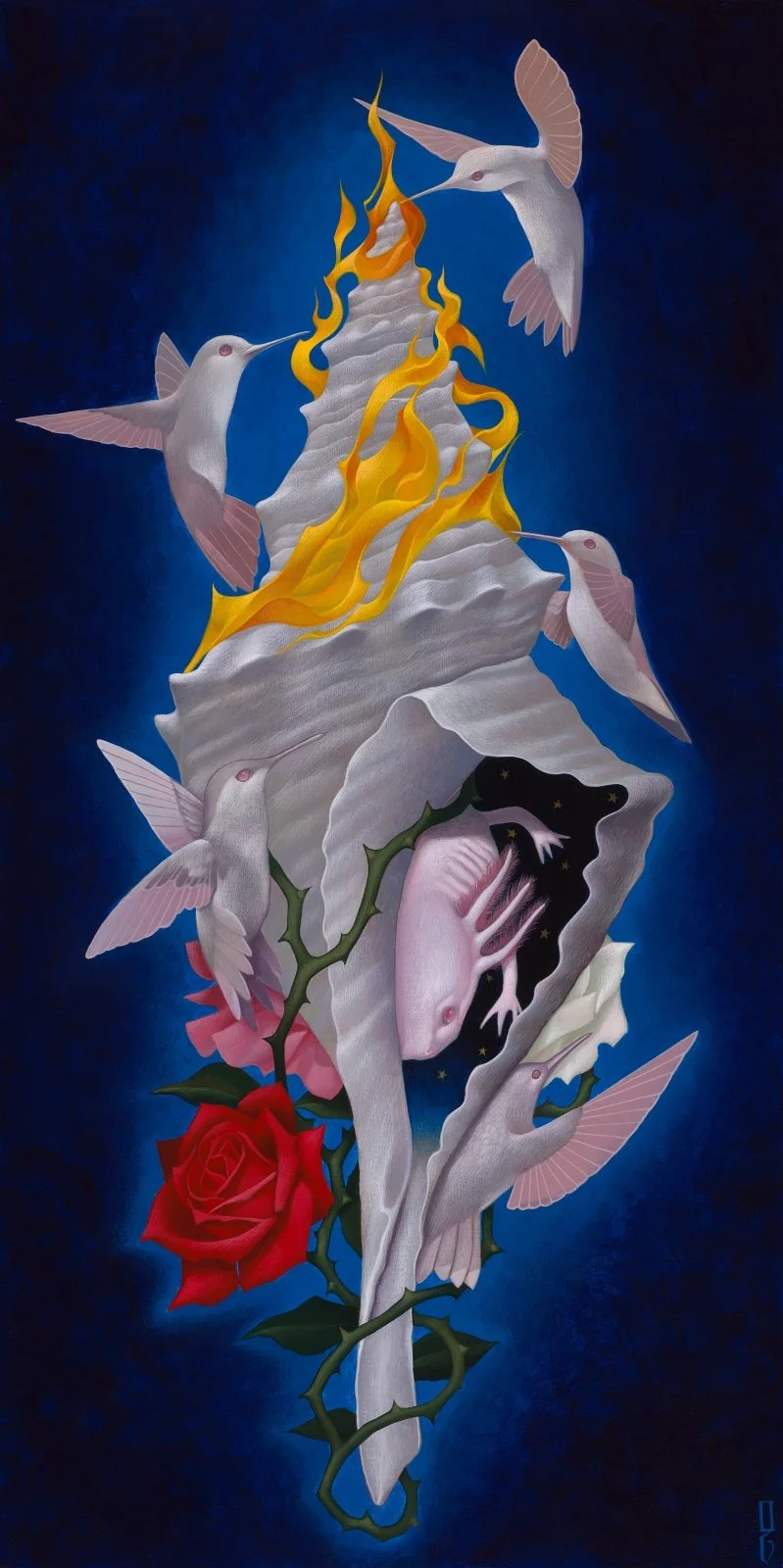 Lanterna de Vida.jpg