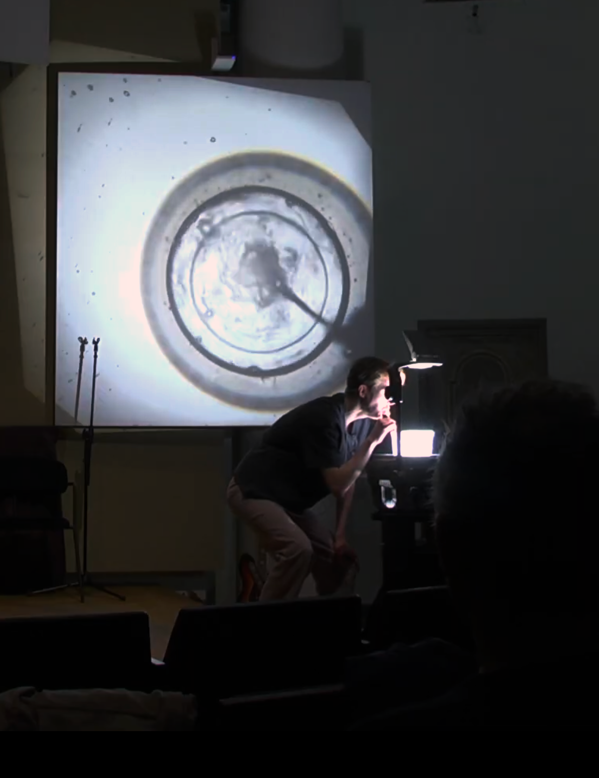 Rotvälska @ Handelshögskolan