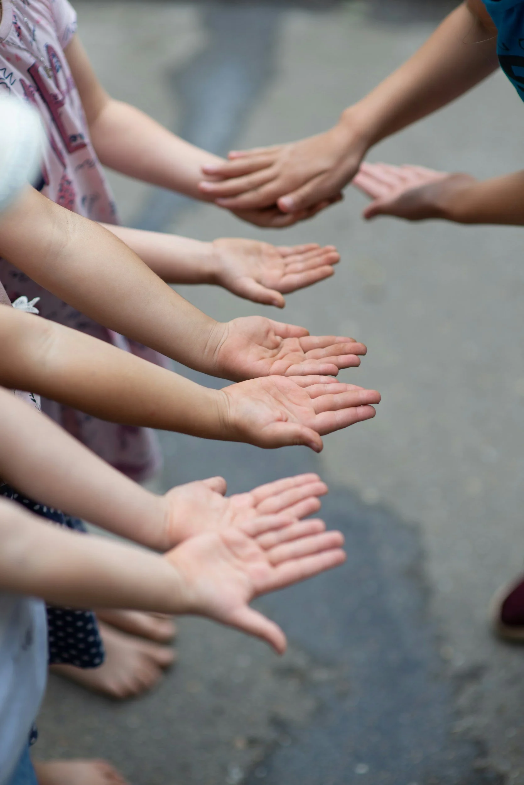 The Presence Method led by Alysa Osvog to regulate the nervous system, expand capacity and lead with embodied presence. 