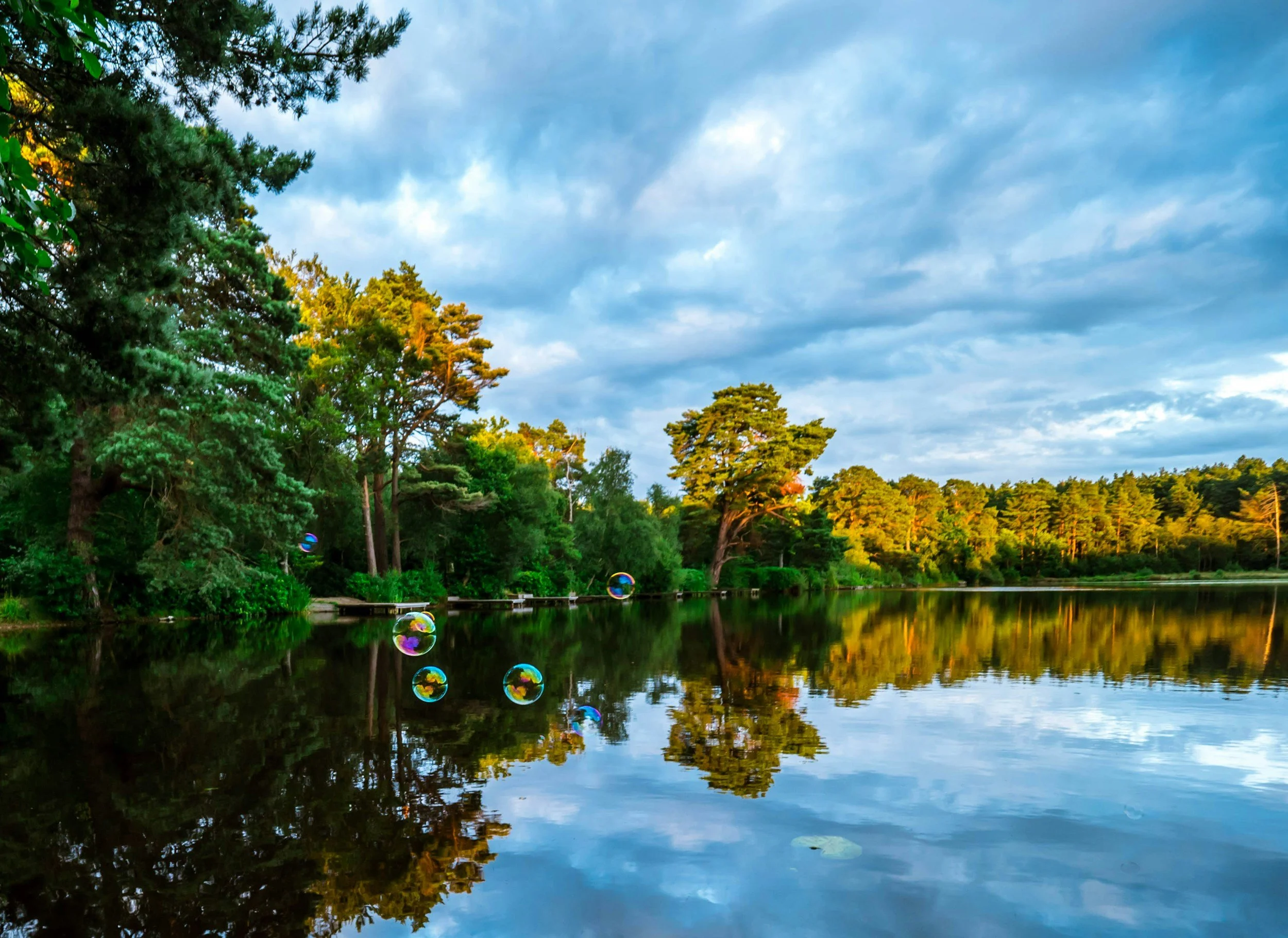 A serene lake surrounded by lush green trees with a cloudy sky overhead, and several soap bubbles floating near the water's surface, reflecting the trees and sky.