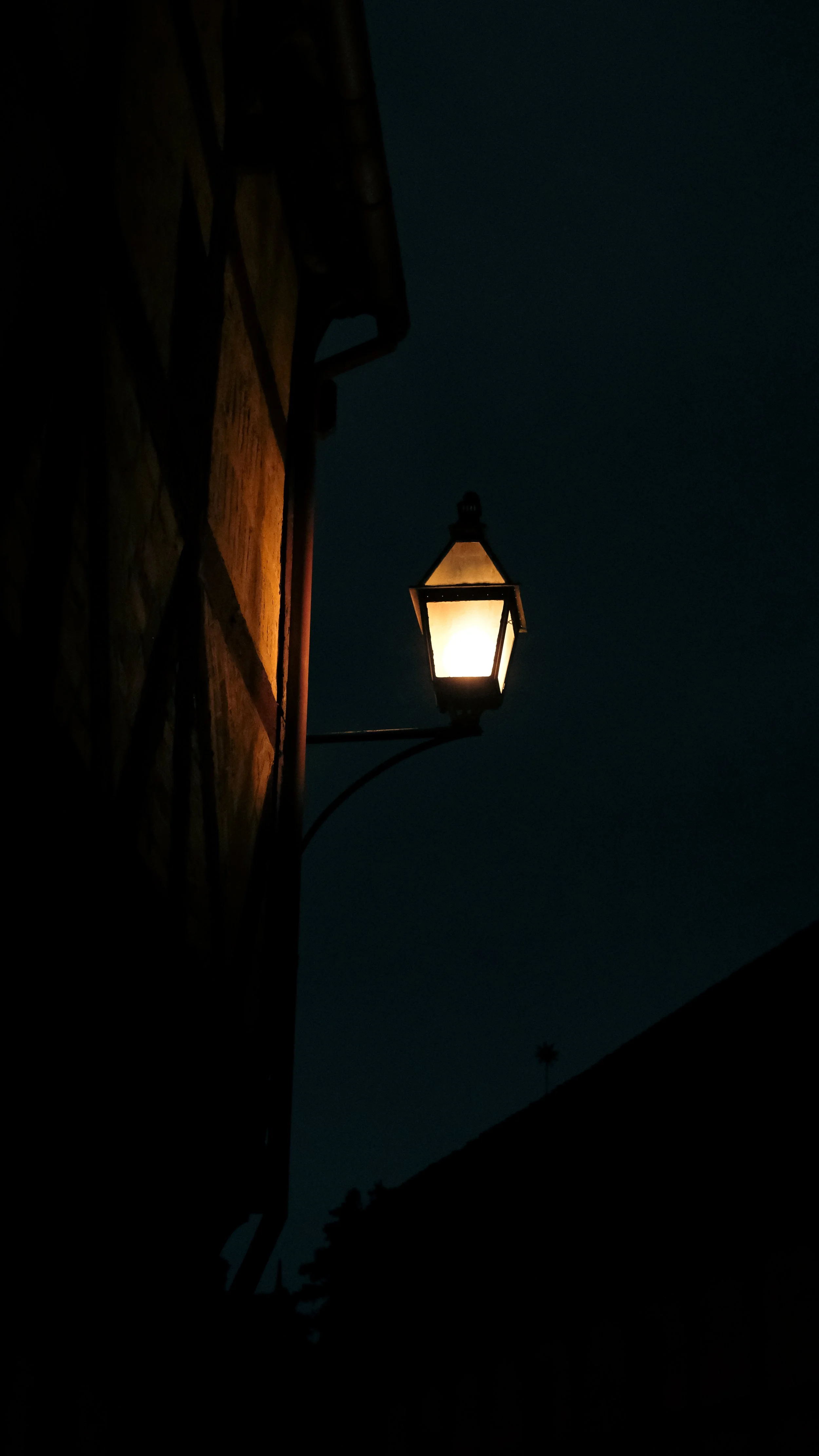 DSCF6552.jpg