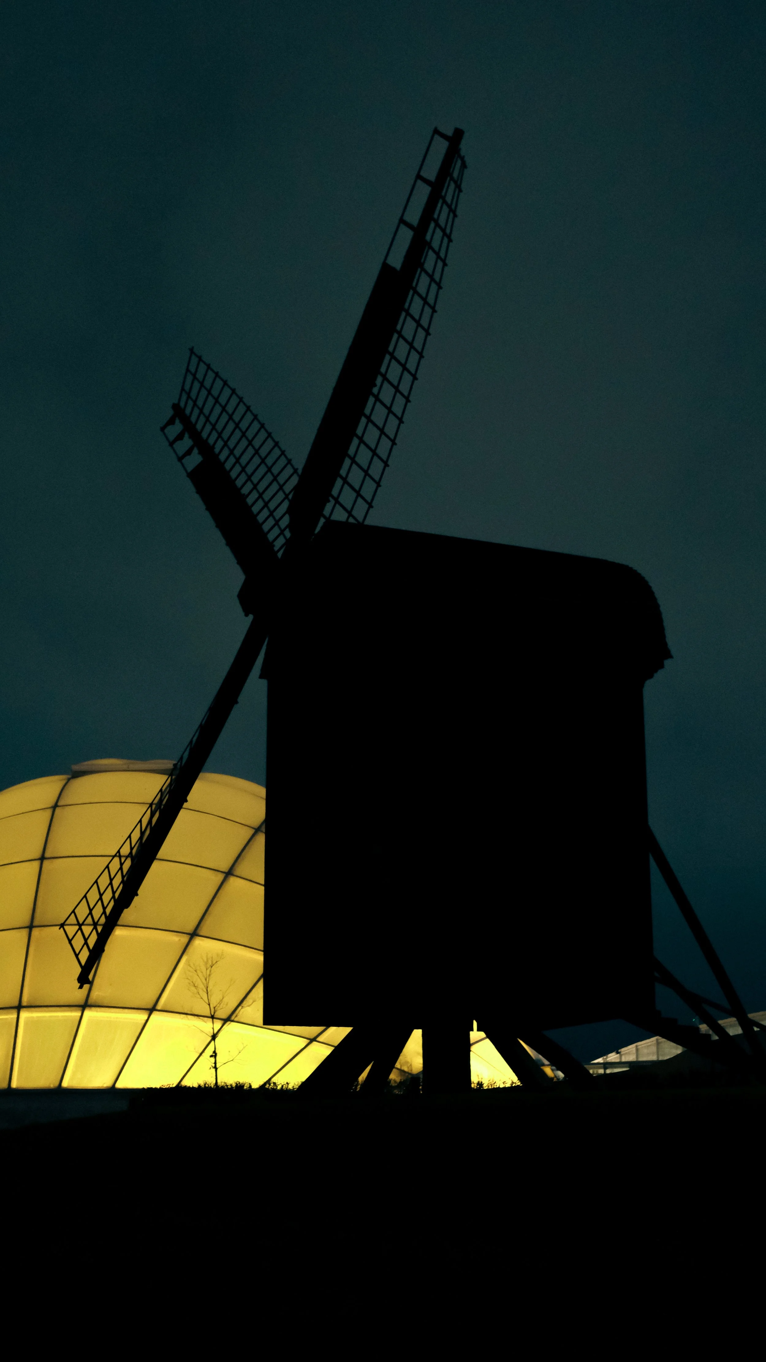 DSCF6603.jpg