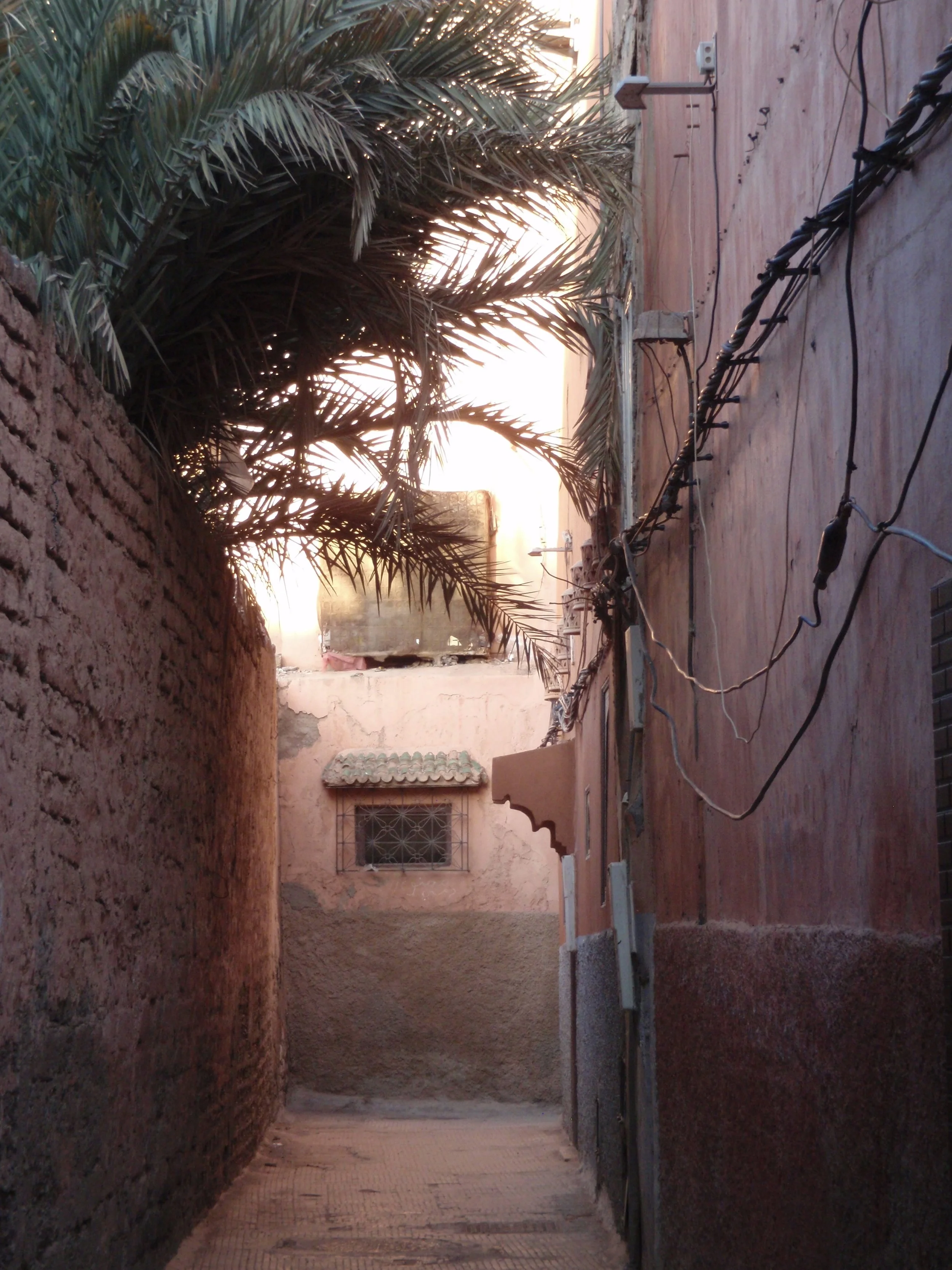 P1011627.jpg