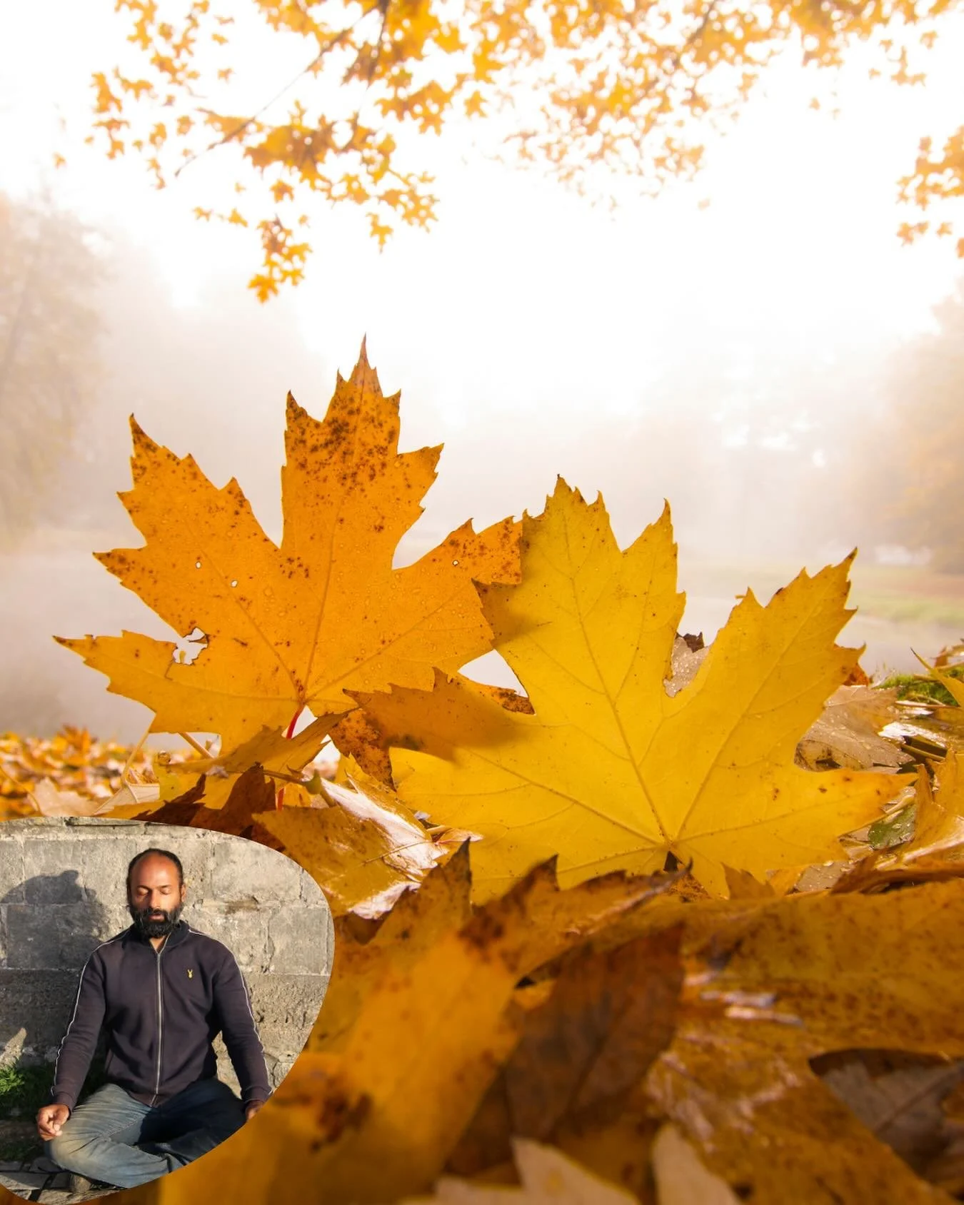 The beauty of this time of year is the opportunity to work with powerful energetic leavers that shift the arc of our external experience.

Put the brakes on the cyclone of worldly malaise &amp; enter the season of reflection&hellip;&hellip; see what 