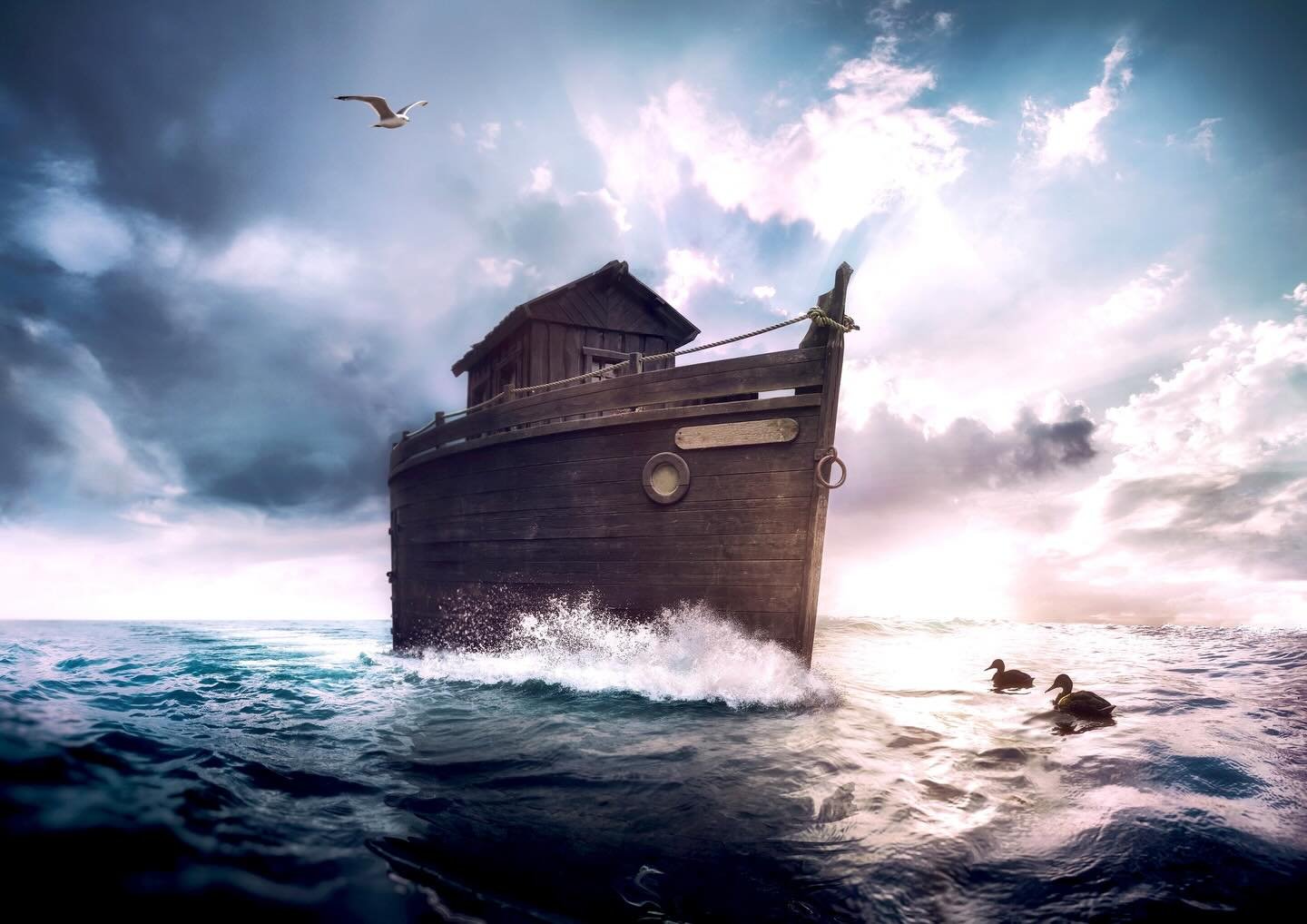 Are we in a Noah&rsquo;s ark moment?

For me this biblical story is a metaphor for every choice.

Every experience, every opportunity every challenge, forces one thing: a choice in the human game of life.

If we strip down the systems or religion, ph