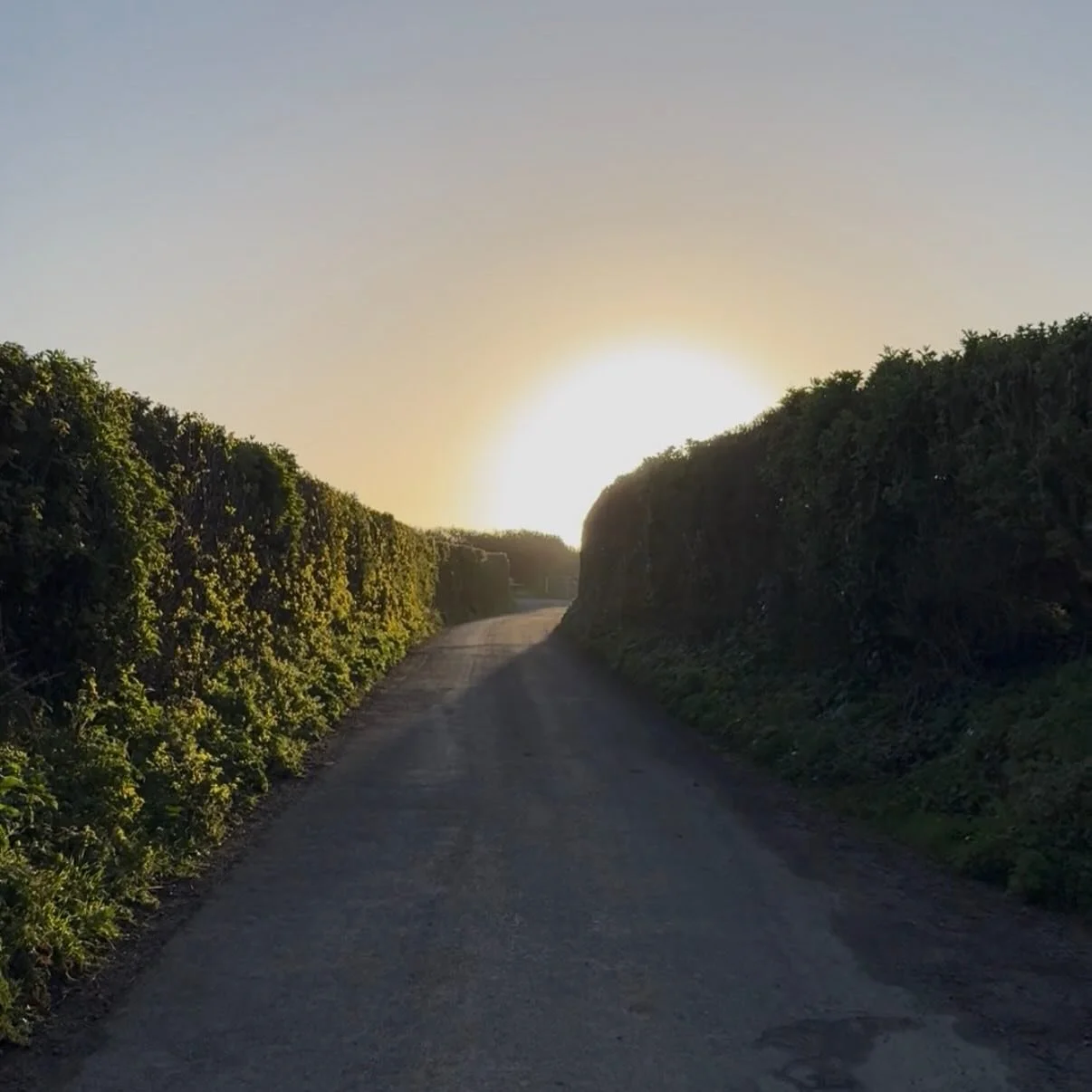 The lead up to Easter is here. 🐣

I alway find this time to be most beautiful and powerful; its symbology so resonant with the process of awakening.  It lands early in spring this year which adds to the transformational verve.

It is also a time to 