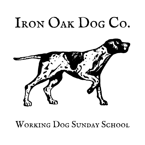 Working Dog Sunday School