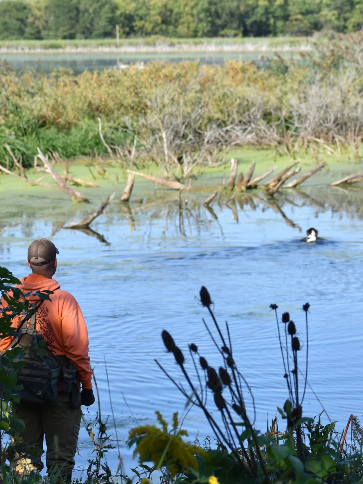 Water Clinic with Sondra Rolison
