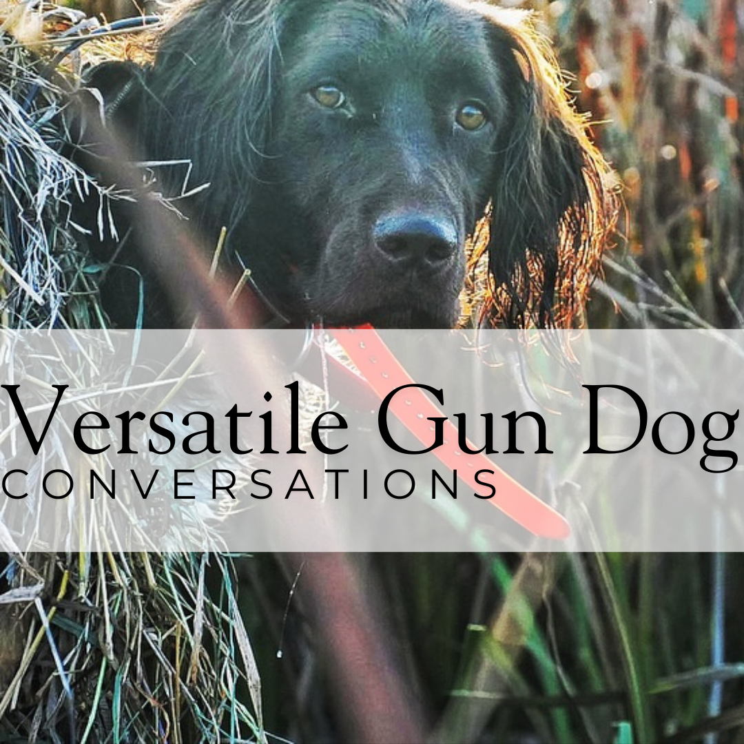 Versatile Gun Dog Conversations: Roadmap