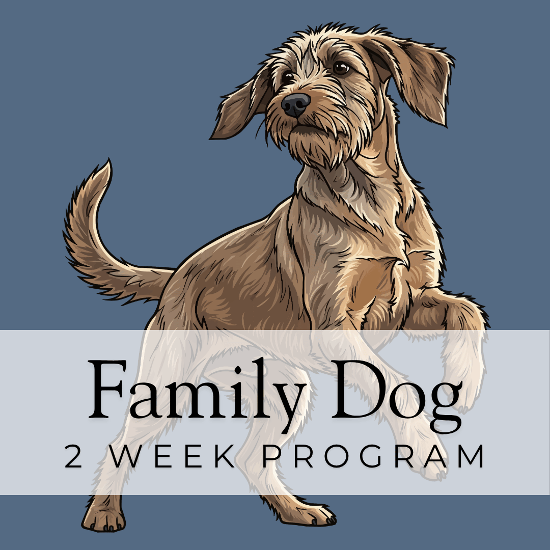 Family Dog