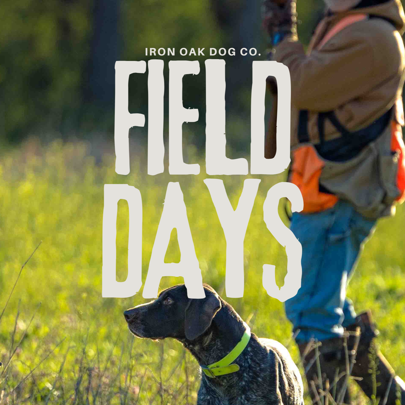 Field Training Day