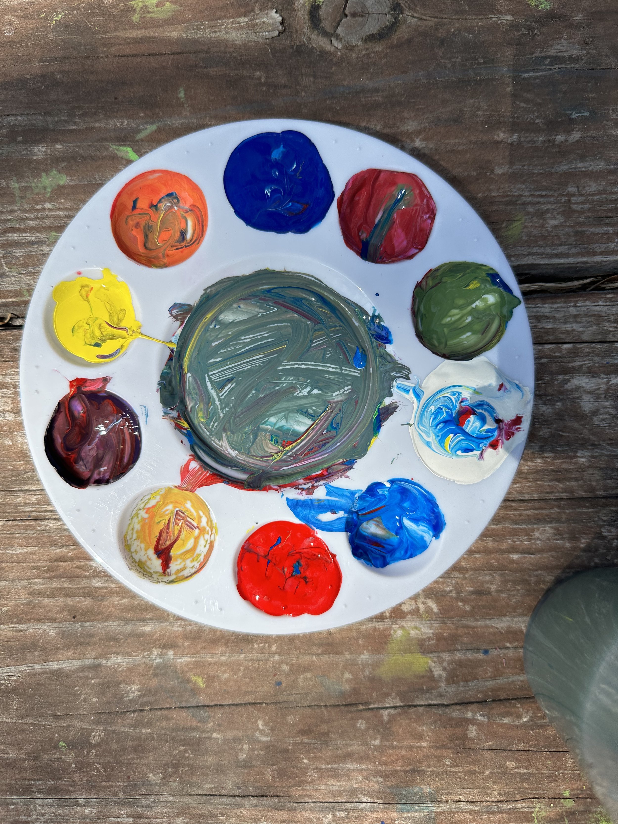 From Primary Colors to Squirrels: How the Environment Shaped our Curiosity (Part 1)